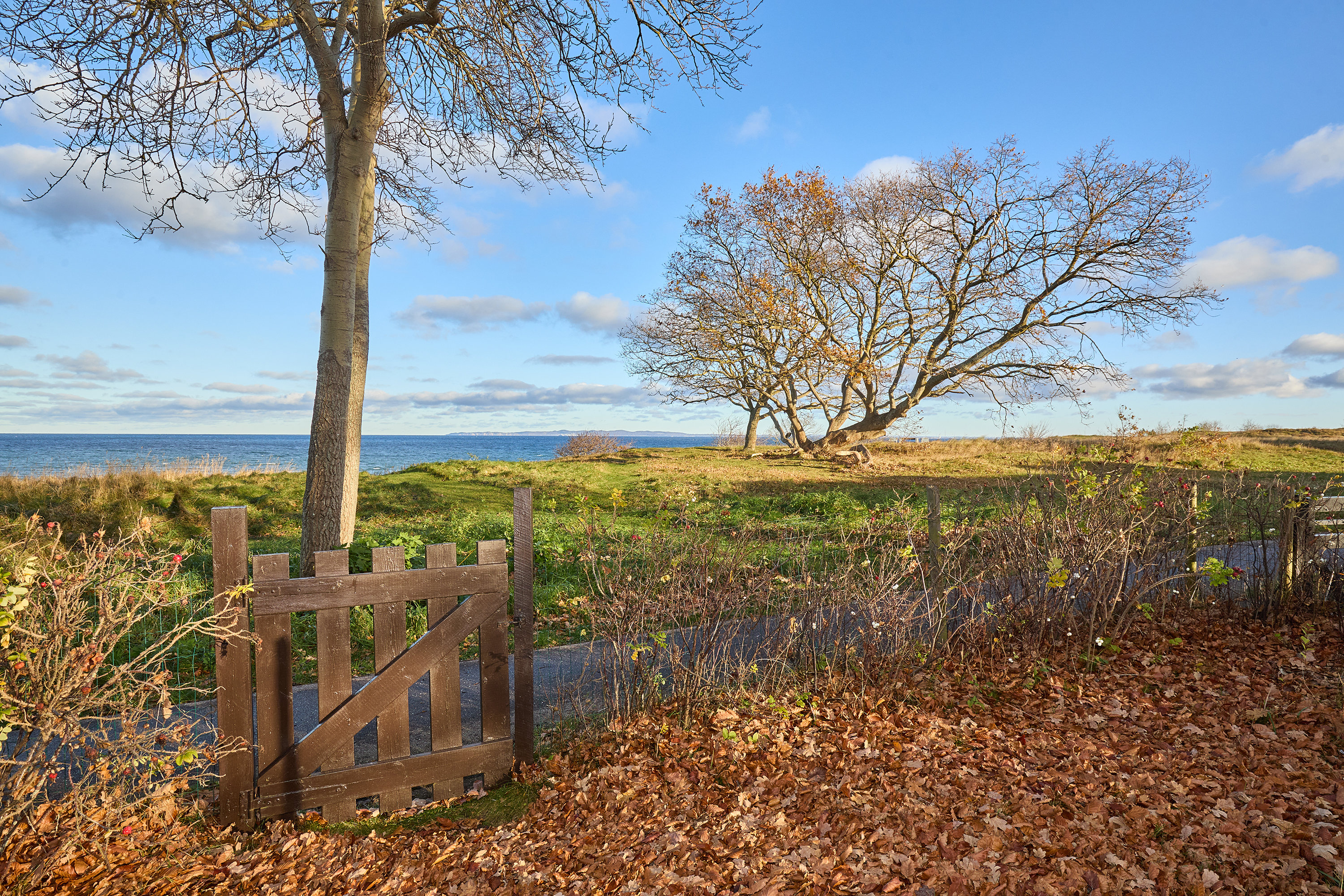 Fremhævet område billede i fuldskærmstilstand. Billede af Østre Alle 57C, 3250 Gilleleje