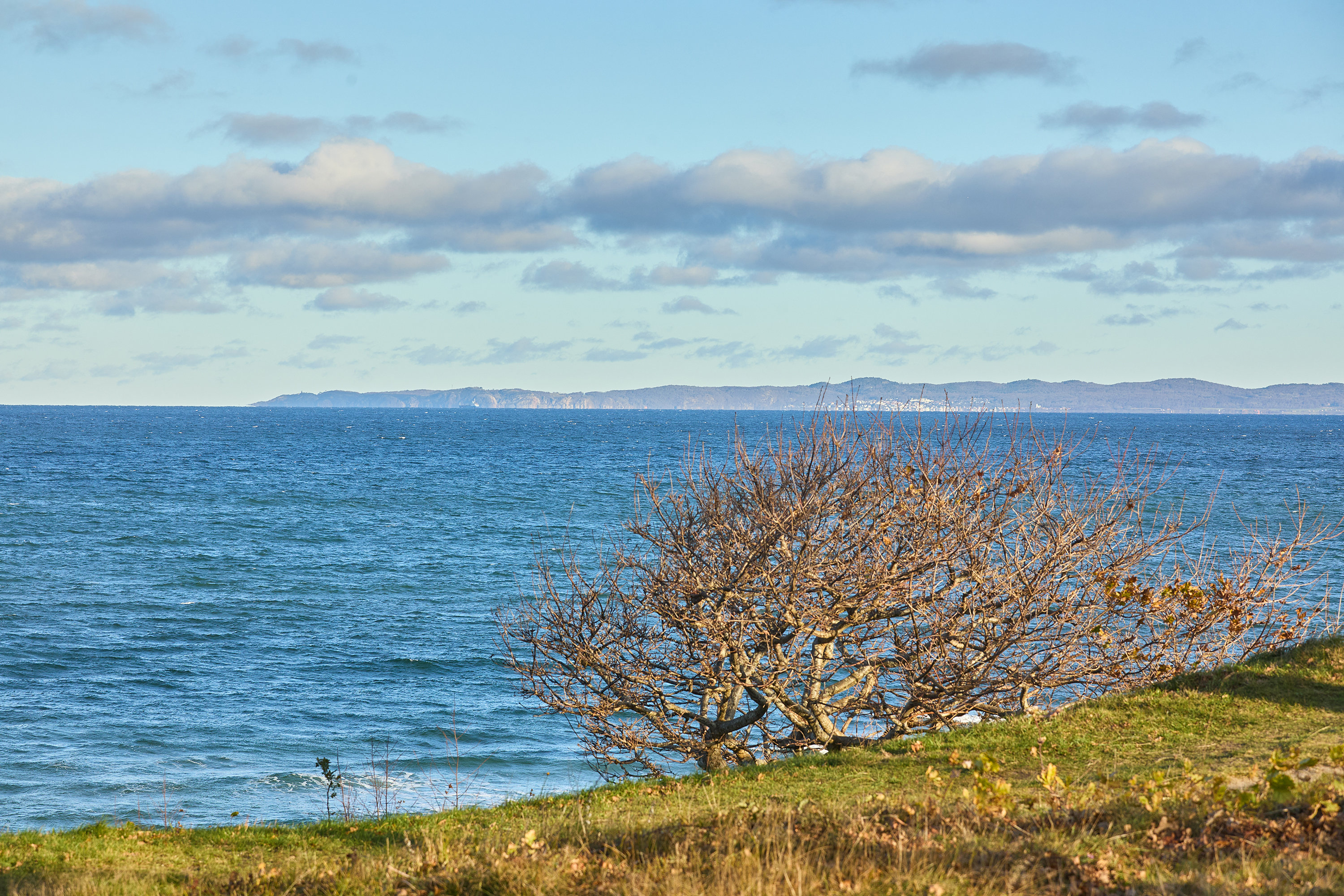 Fremhævet område billede i fuldskærmstilstand. Billede af Østre Alle 57C, 3250 Gilleleje