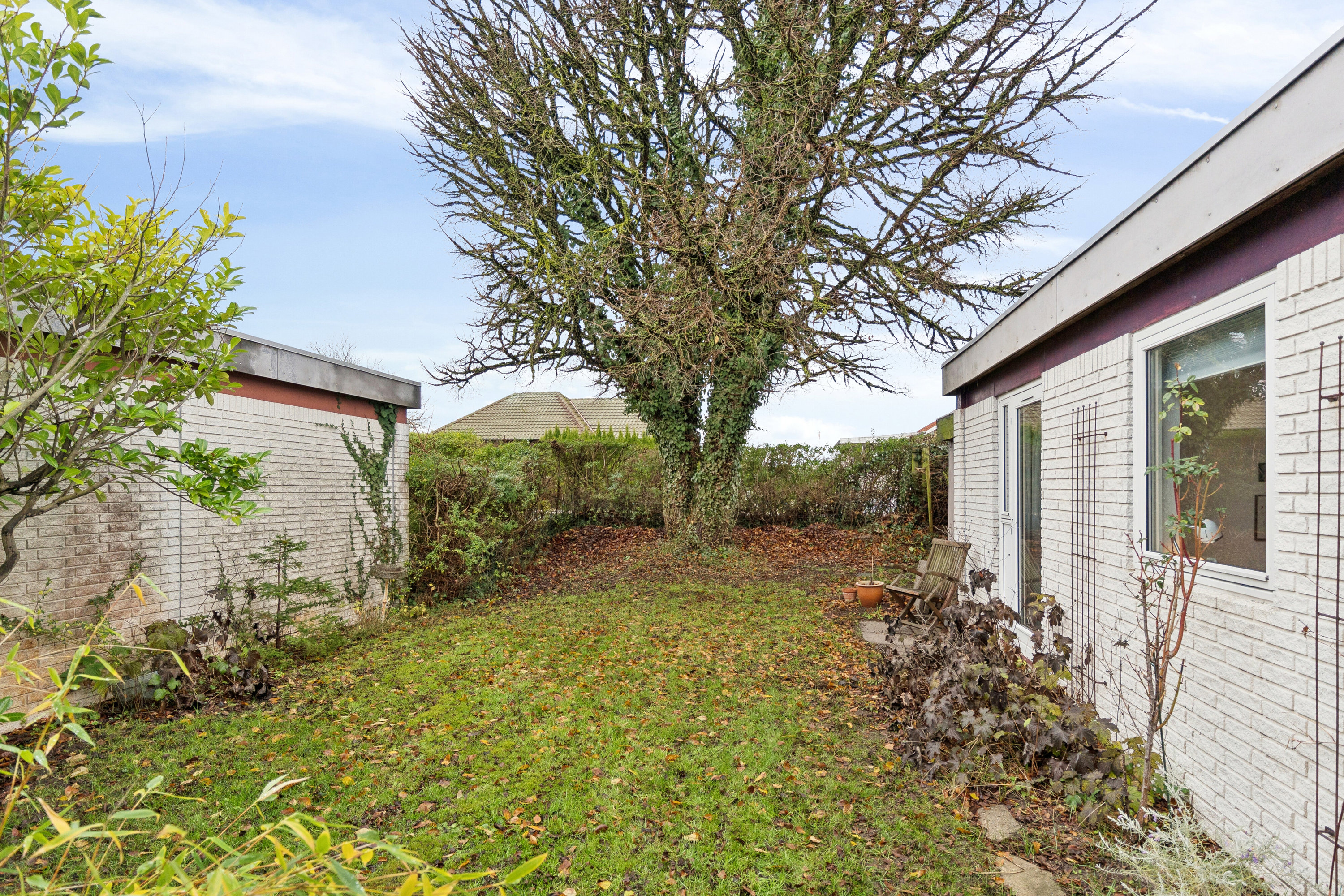 Fremhævet set fra haven billede i fuldskærmstilstand. Billede af Præstevej 131, Korup, 5210 Odense NV