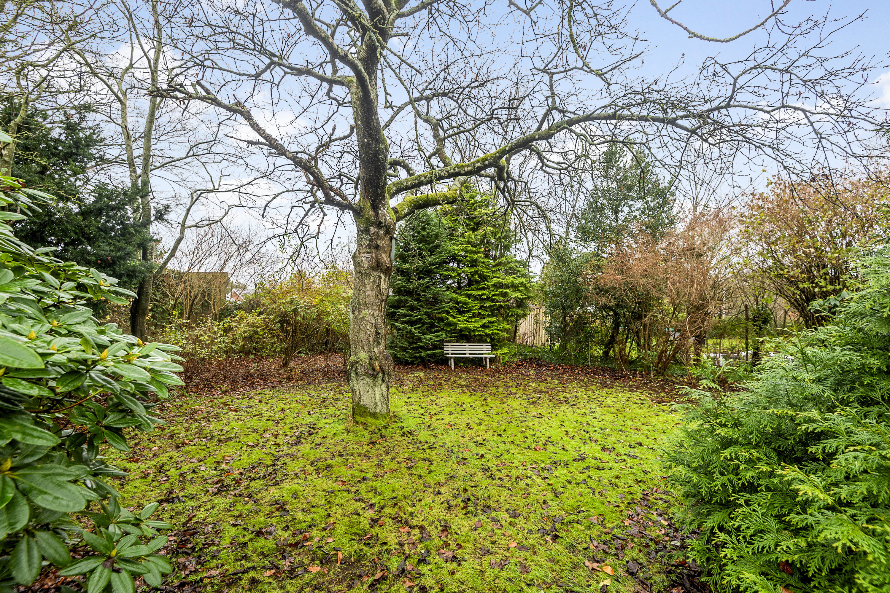 Fremhævet område billede i fuldskærmstilstand. Billede af Hasselvej 8, 6705 Esbjerg Ø