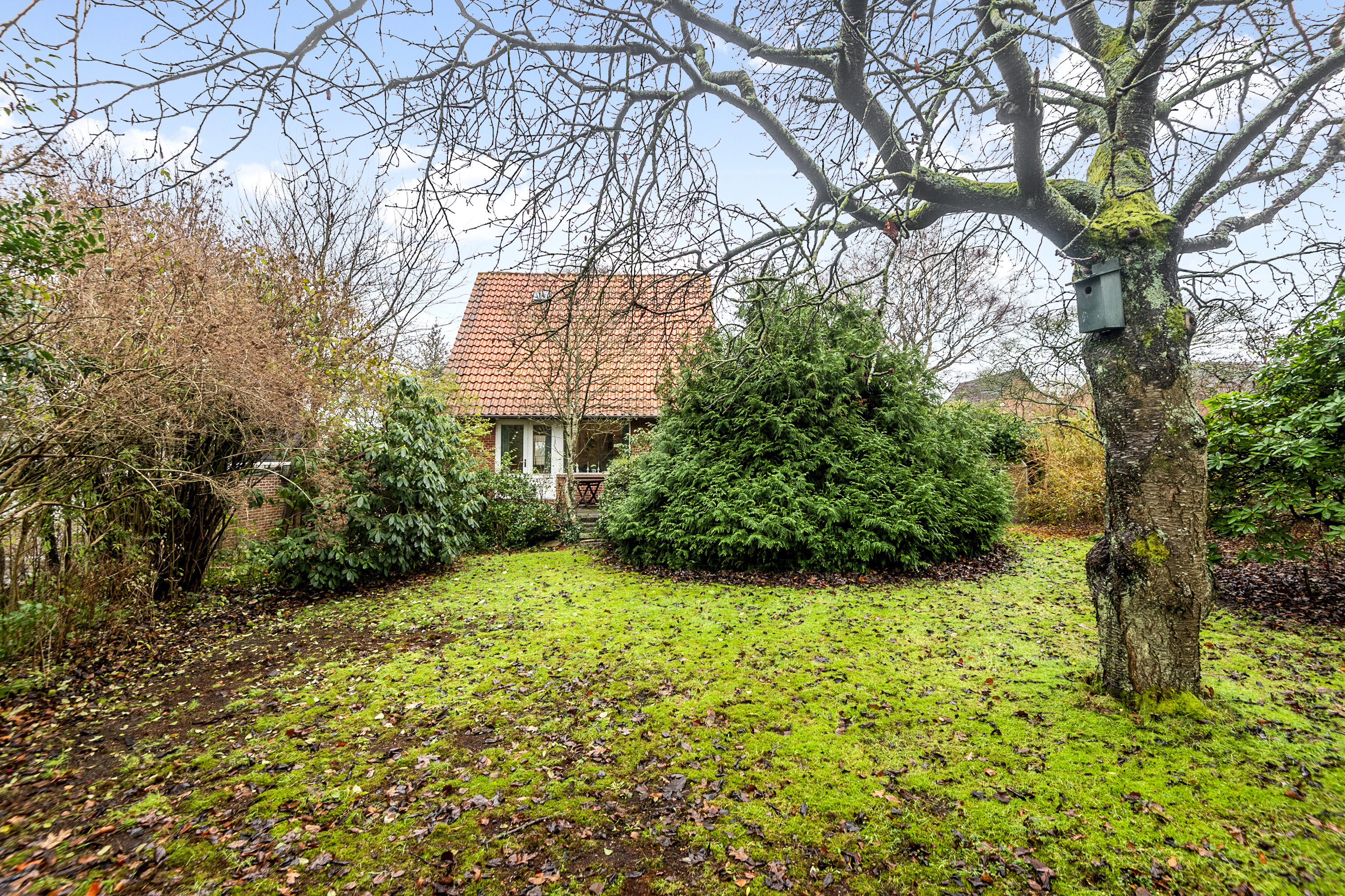 Fremhævet område billede i fuldskærmstilstand. Billede af Hasselvej 8, 6705 Esbjerg Ø