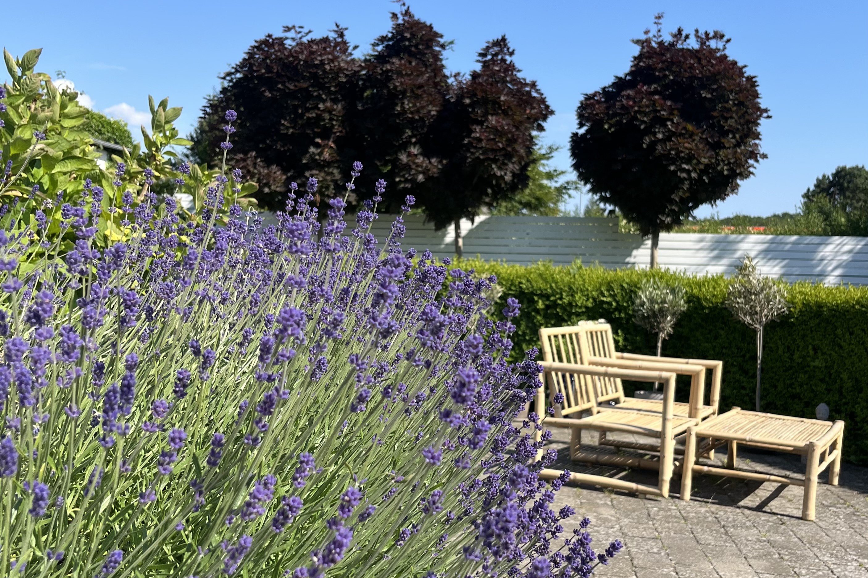 Fremhævet  billede i fuldskærmstilstand. Billede af Alexander Foss Vej 2, Boderne, 3140 Ålsgårde