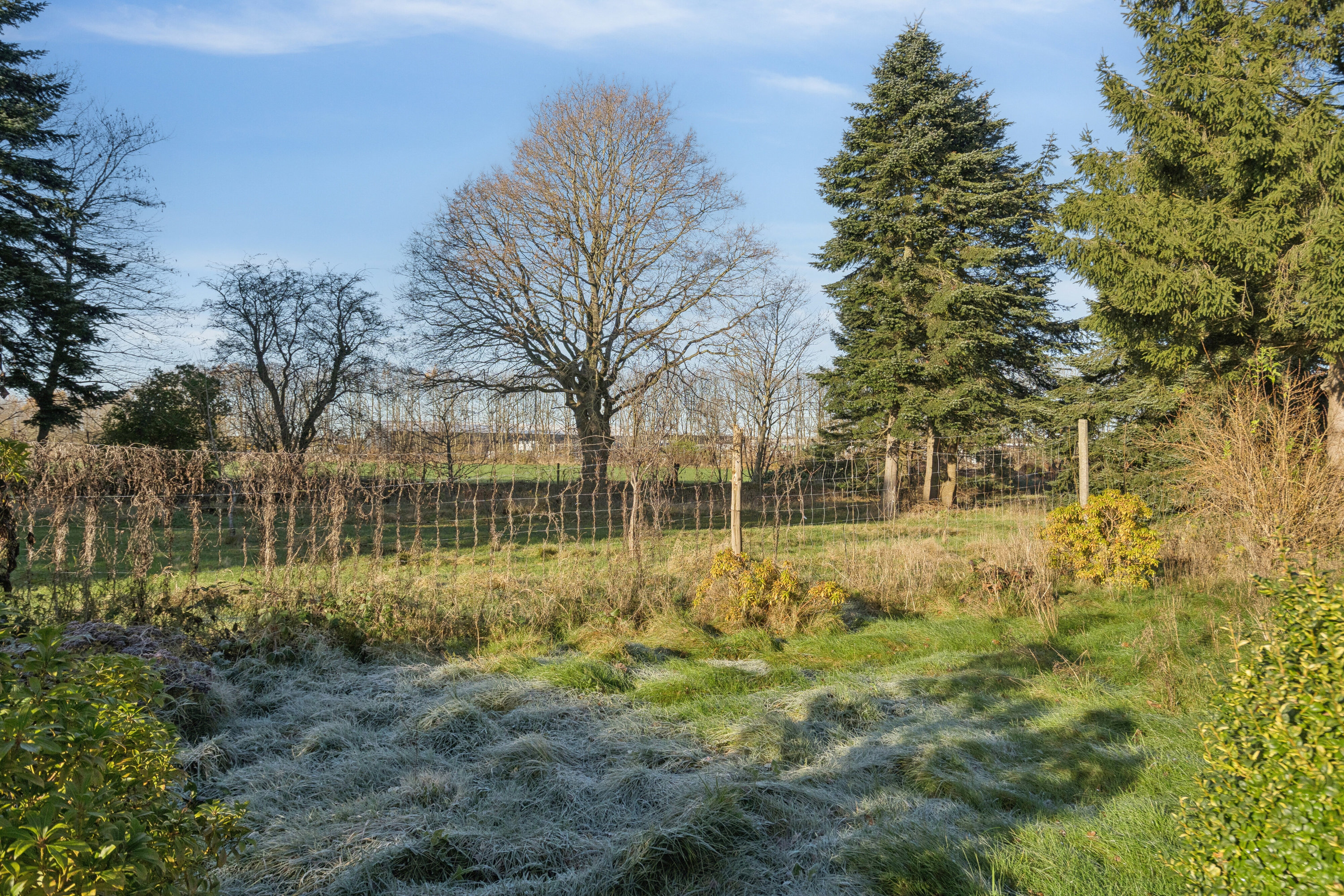 Fremhævet set fra haven billede i fuldskærmstilstand. Billede af Vestergade 18B, Frøslev, 6330 Padborg