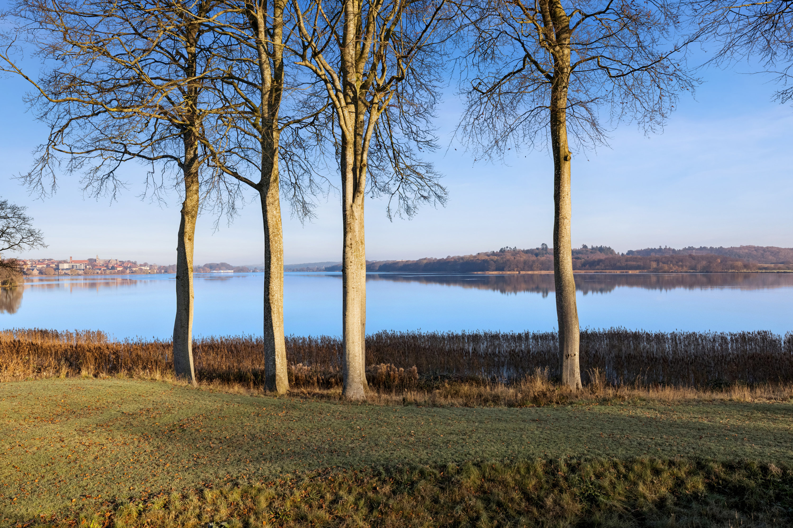 Fremhævet omgivelser billede i fuldskærmstilstand. Billede af Teglgårdshaven 22, st.. tv., 8800 Viborg