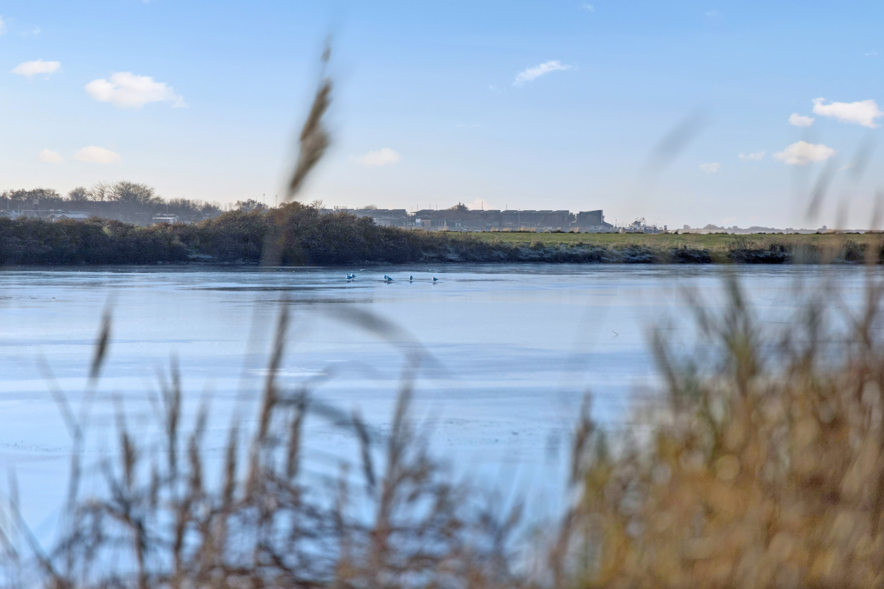 Fremhævet område billede i fuldskærmstilstand. Billede af Thistedvej 34, 9400 Nørresundby