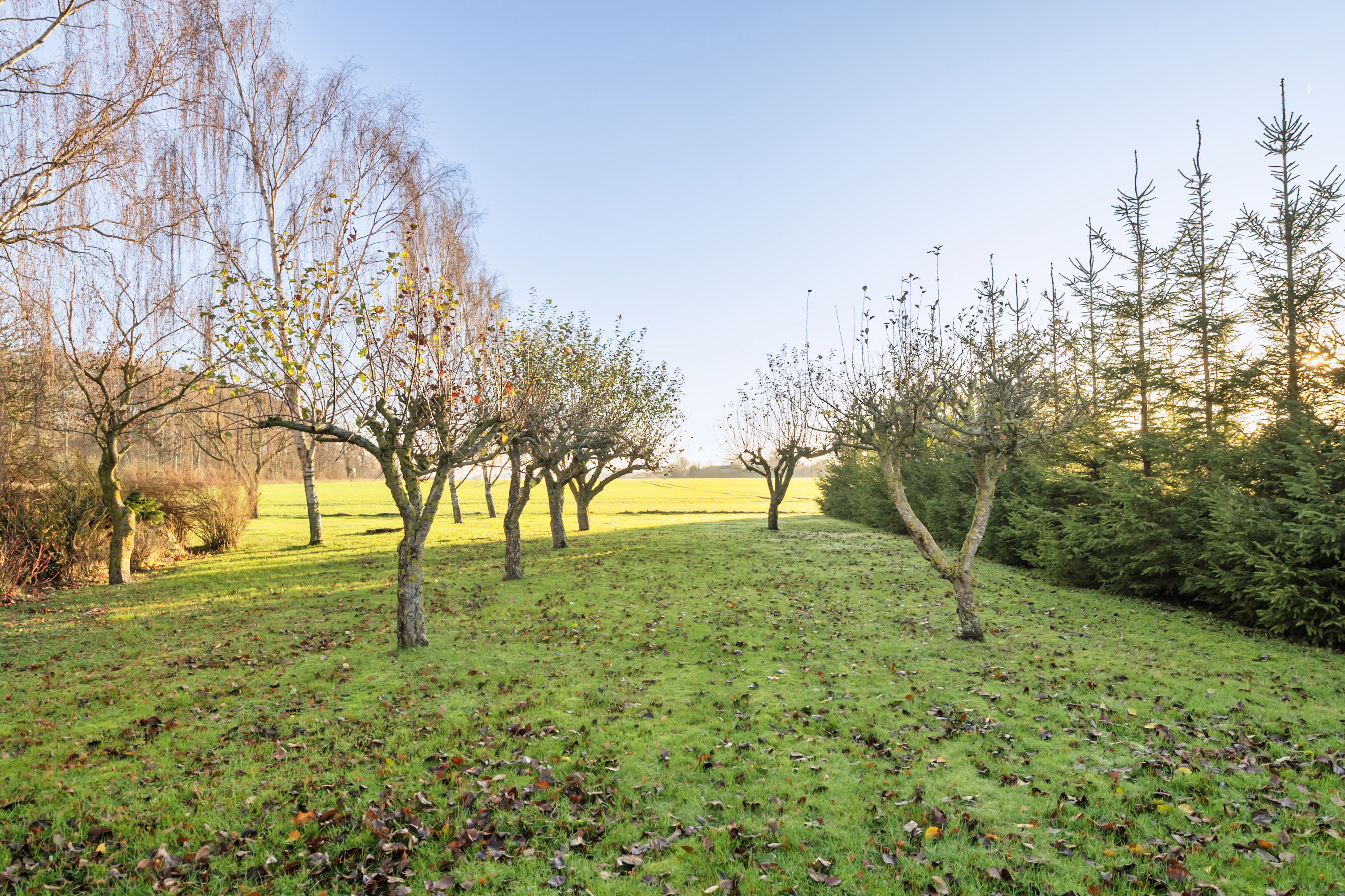 Fremhævet område billede i fuldskærmstilstand. Billede af Rørth Ellevej 28, Rørth, 8300 Odder