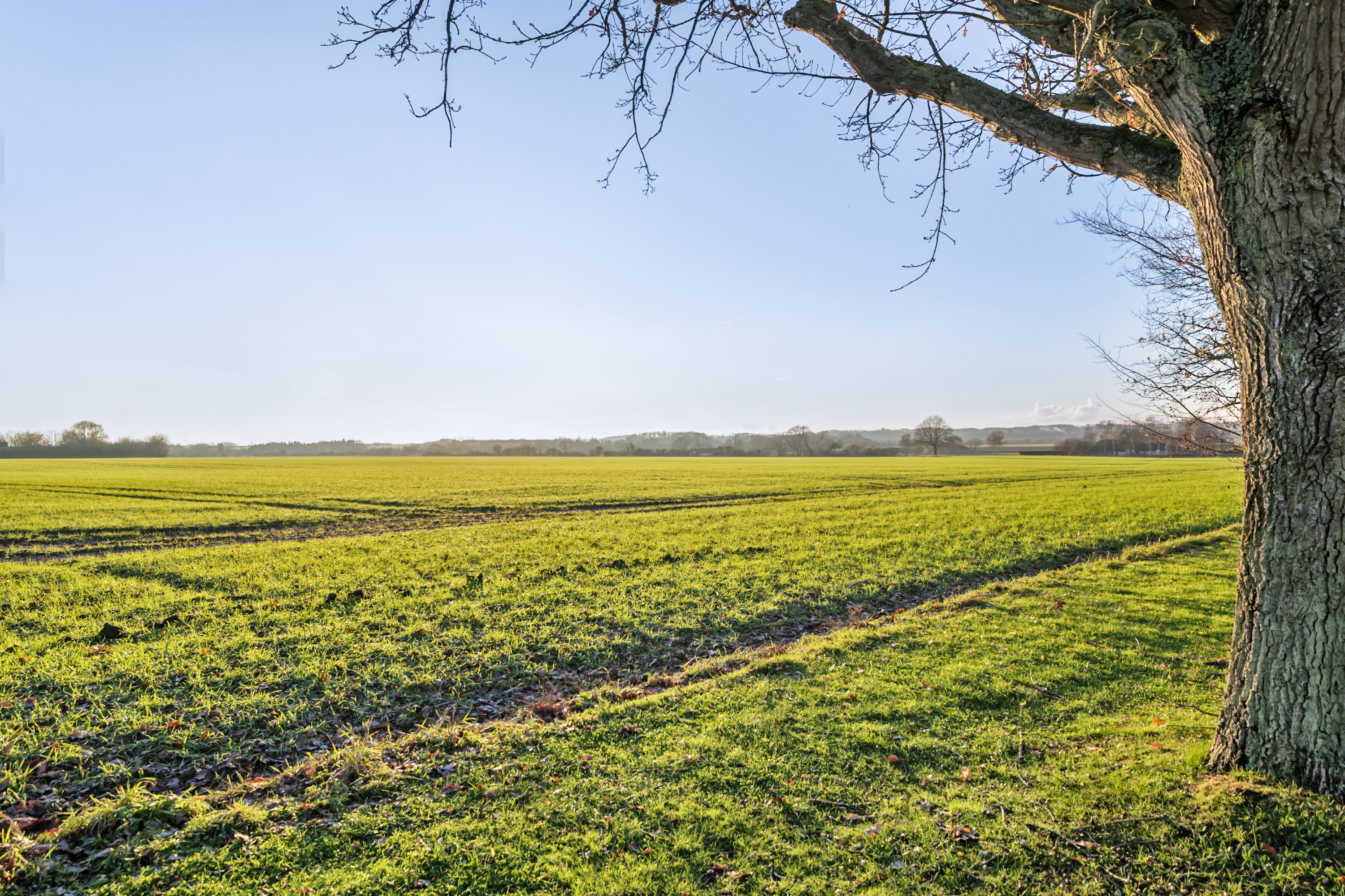 Miniaturebillede 2: område. Billede af Rørth Ellevej 28, Rørth, 8300 Odder