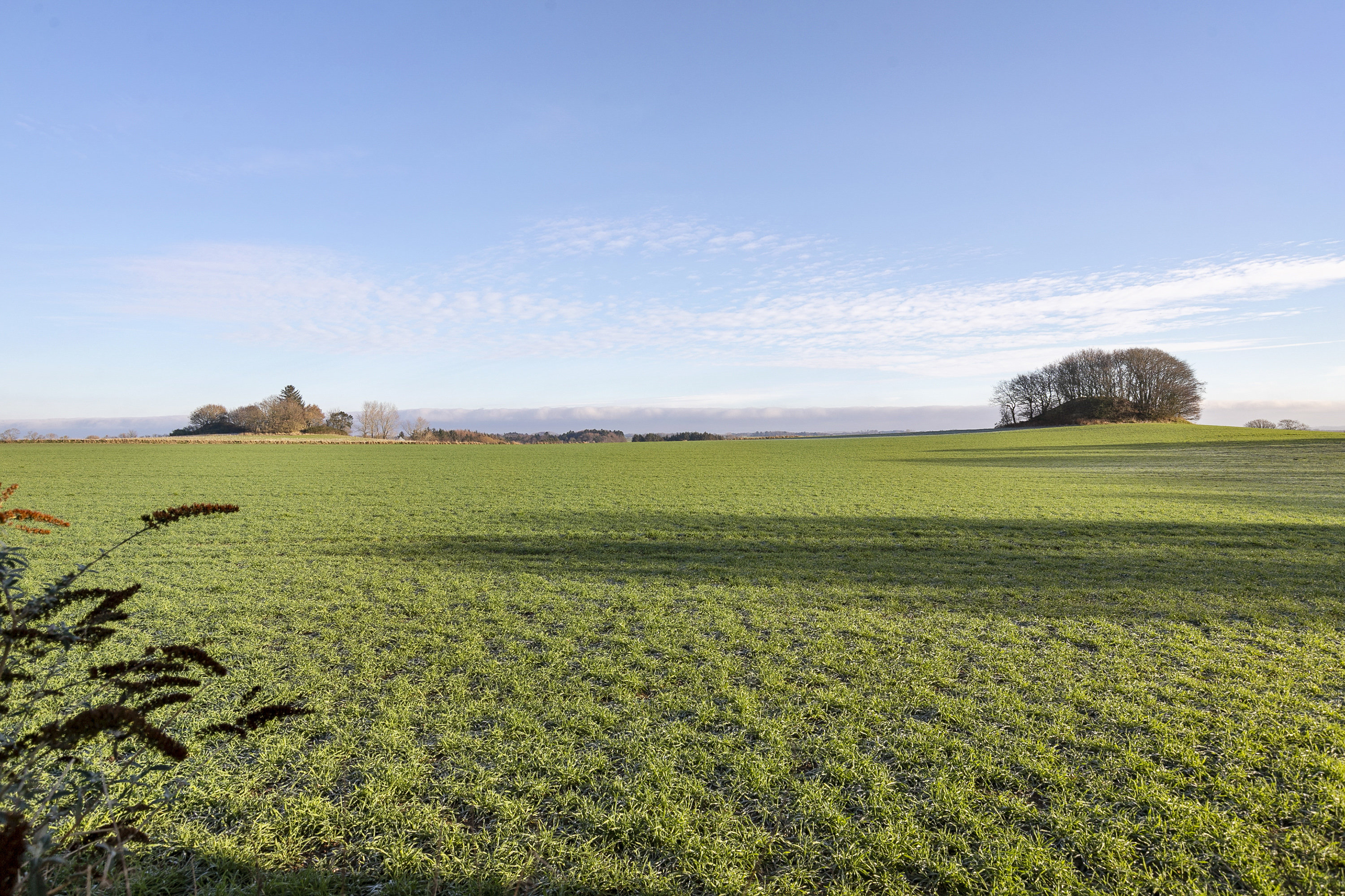 Miniaturebillede 2: udsigt. Billede af Tryvej 145, 9750 Østervrå