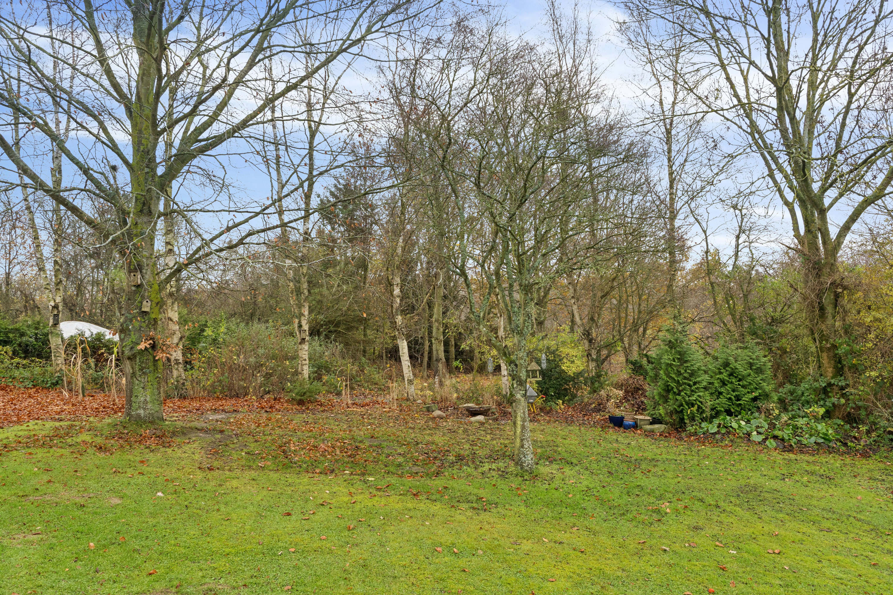 Fremhævet udendørs billede i fuldskærmstilstand. Billede af Gøgeurtvej 3, 4760 Vordingborg