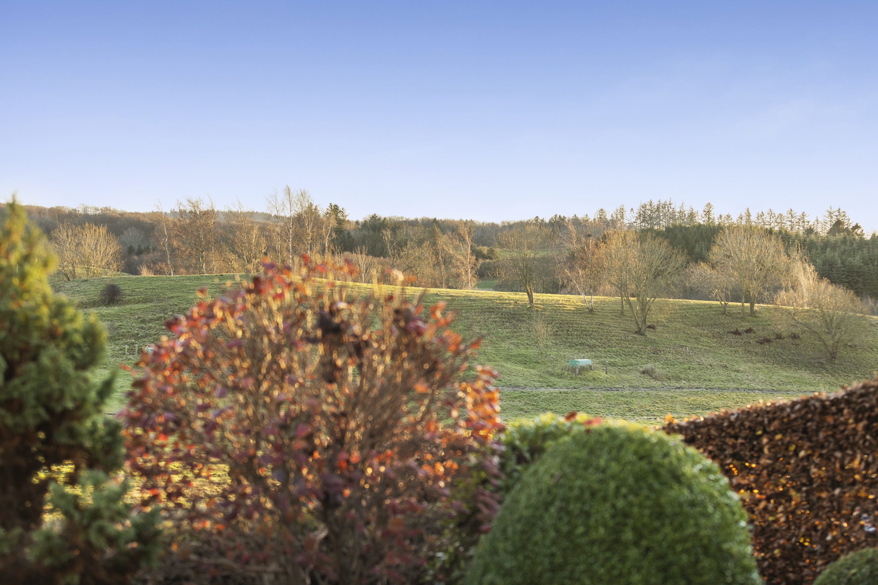 Fremhævet udsigt billede i fuldskærmstilstand. Billede af Hestetoften 1, Ravnshøj, 9900 Frederikshavn