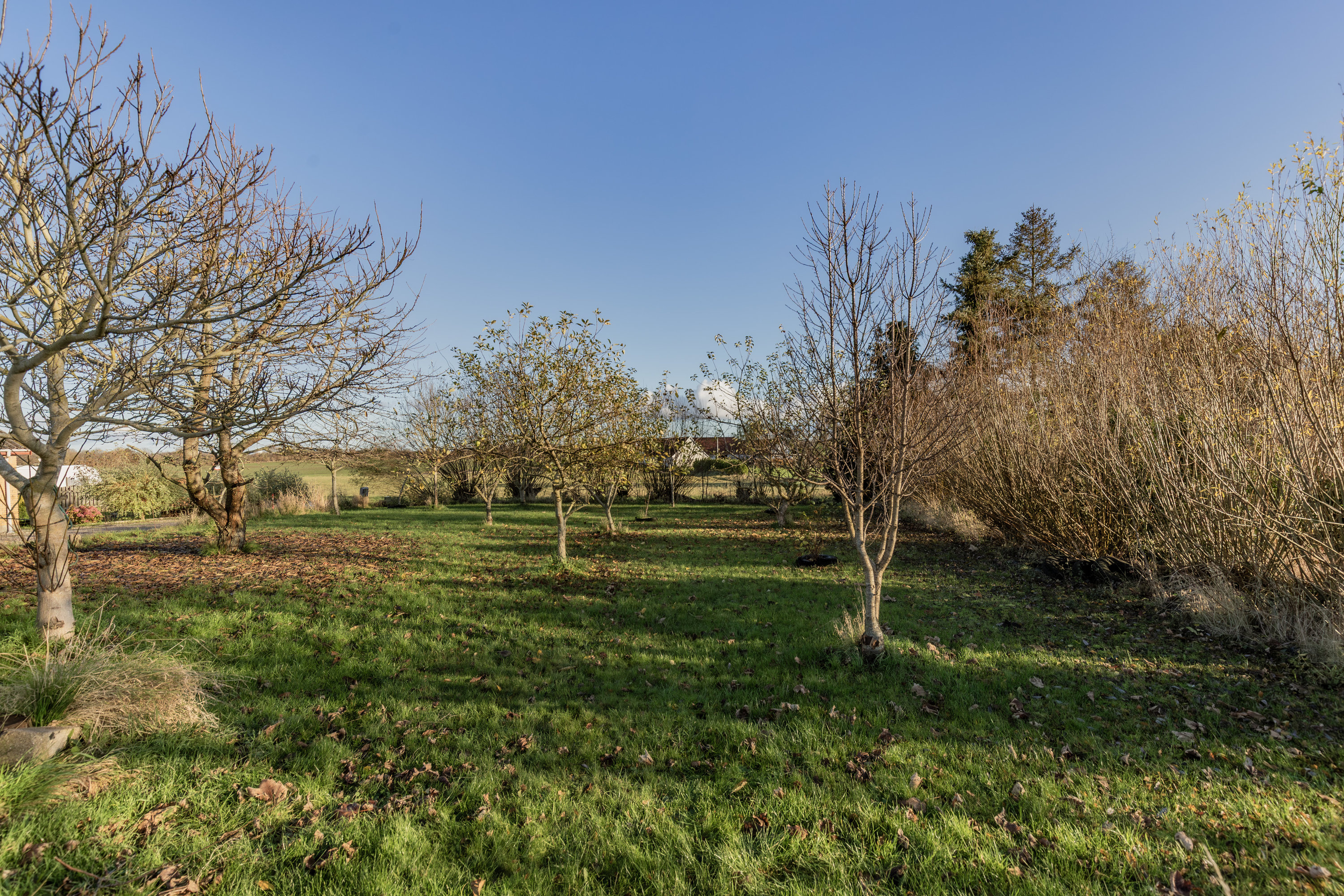 Fremhævet  billede i fuldskærmstilstand. Billede af Gierslevvej 1, Løve, 4270 Høng