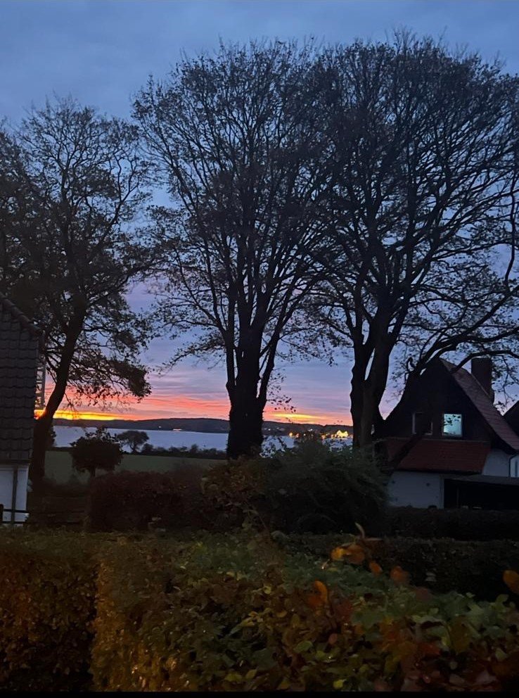 Fremhævet  billede i fuldskærmstilstand. Billede af Østerskovvej 47E, Kollund, 6340 Kruså