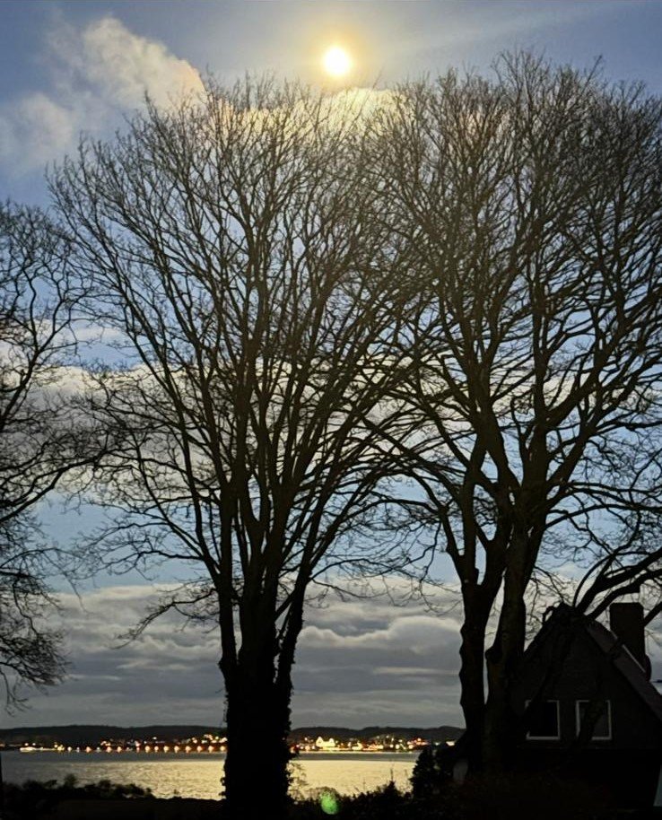 Fremhævet  billede i fuldskærmstilstand. Billede af Østerskovvej 47E, Kollund, 6340 Kruså