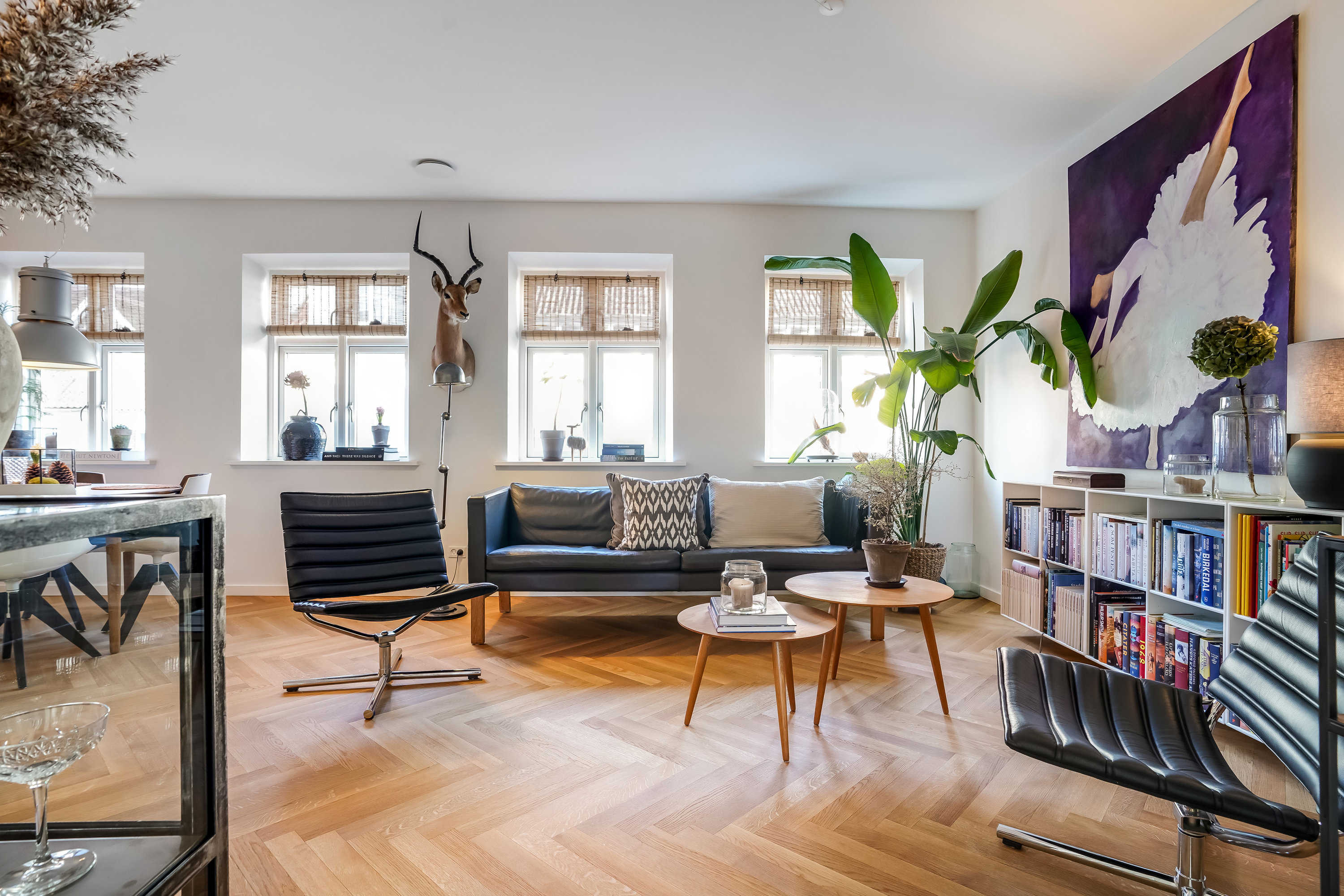 Fremhævet stue billede i fuldskærmstilstand. Billede af Søndergade 24B, 1., 5000 Odense C