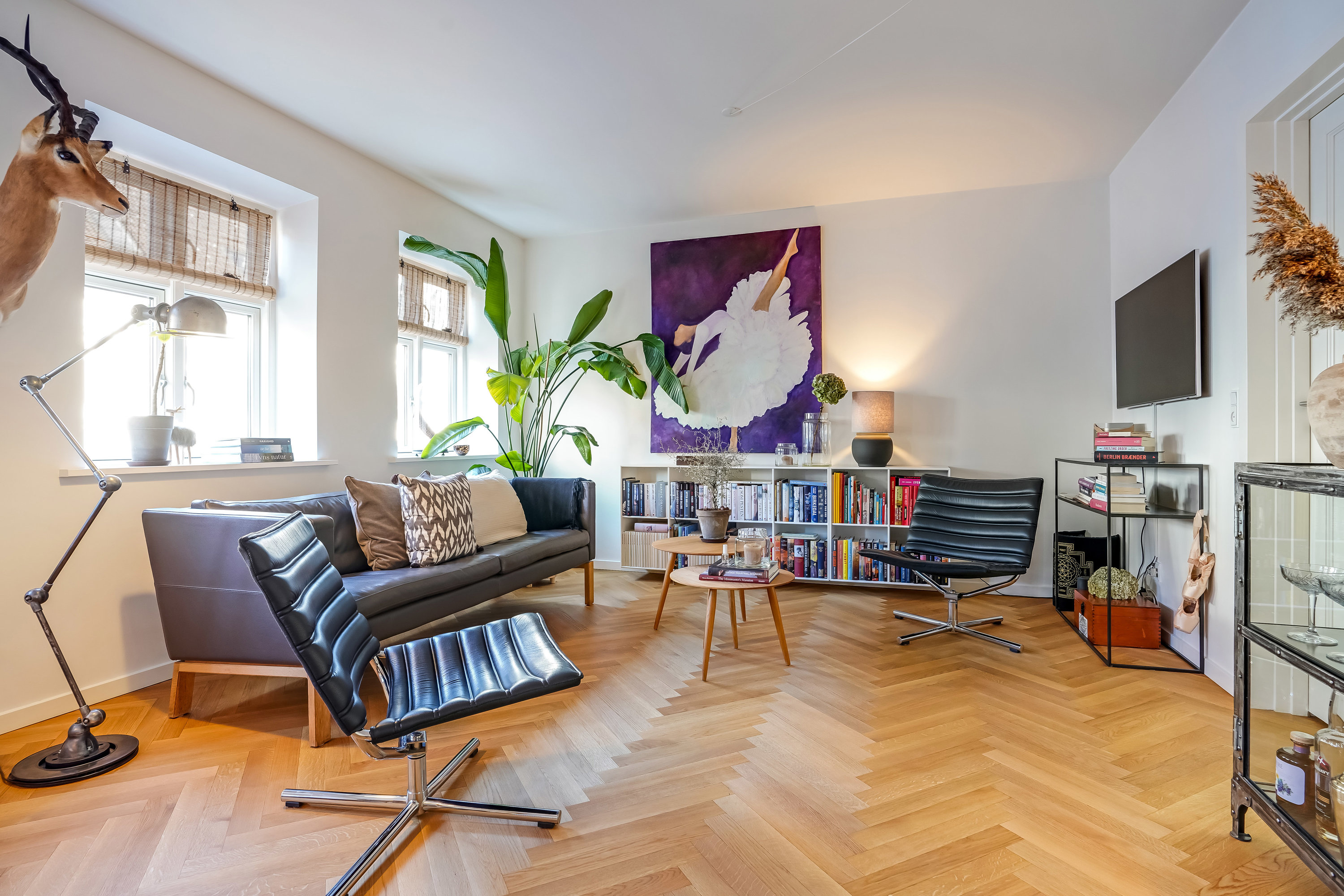 Miniaturebillede 1: stue. Billede af Søndergade 24B, 1., 5000 Odense C