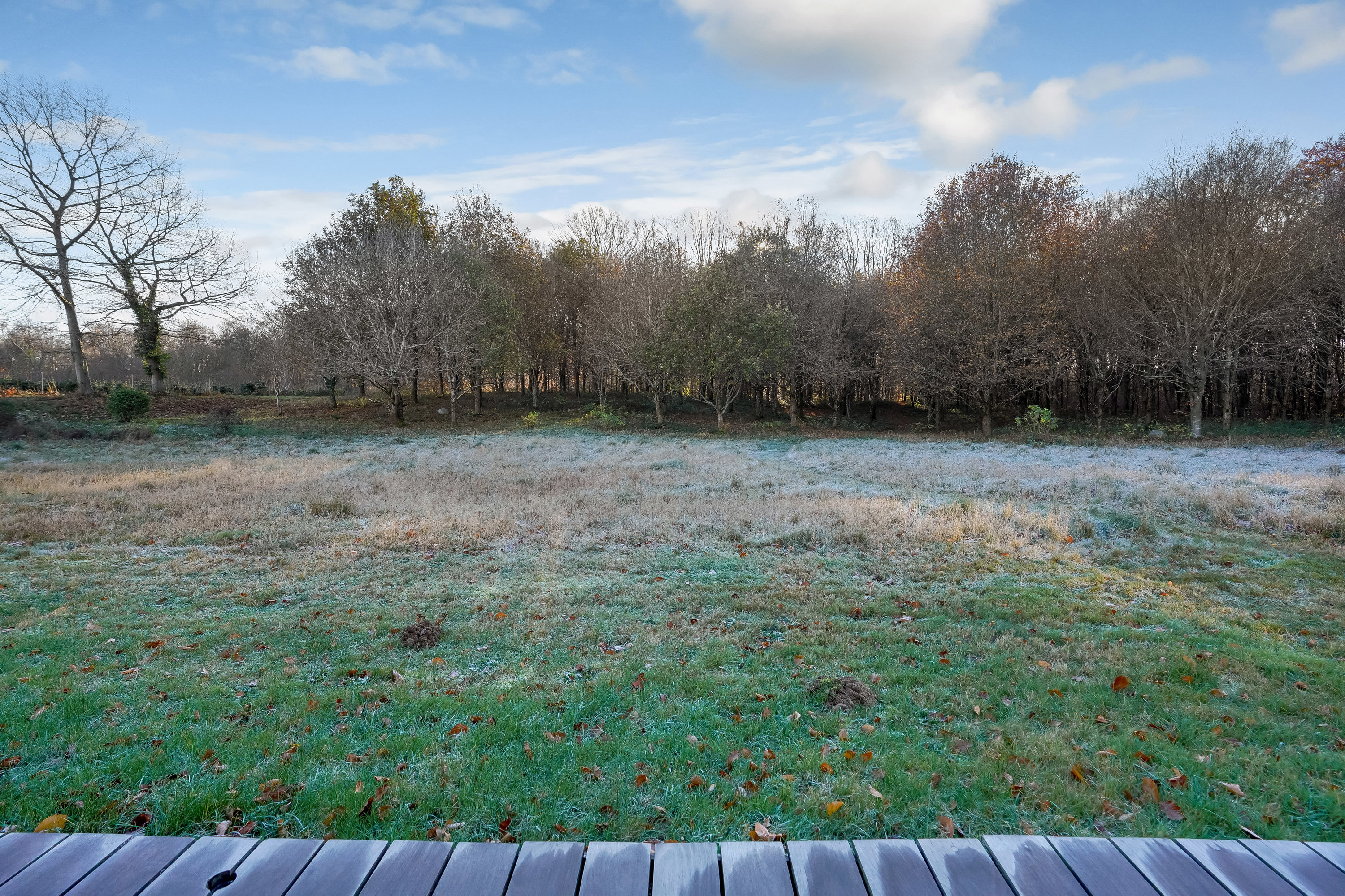 Fremhævet have billede i fuldskærmstilstand. Billede af Hole Skovvej 50, Korup, 5210 Odense NV