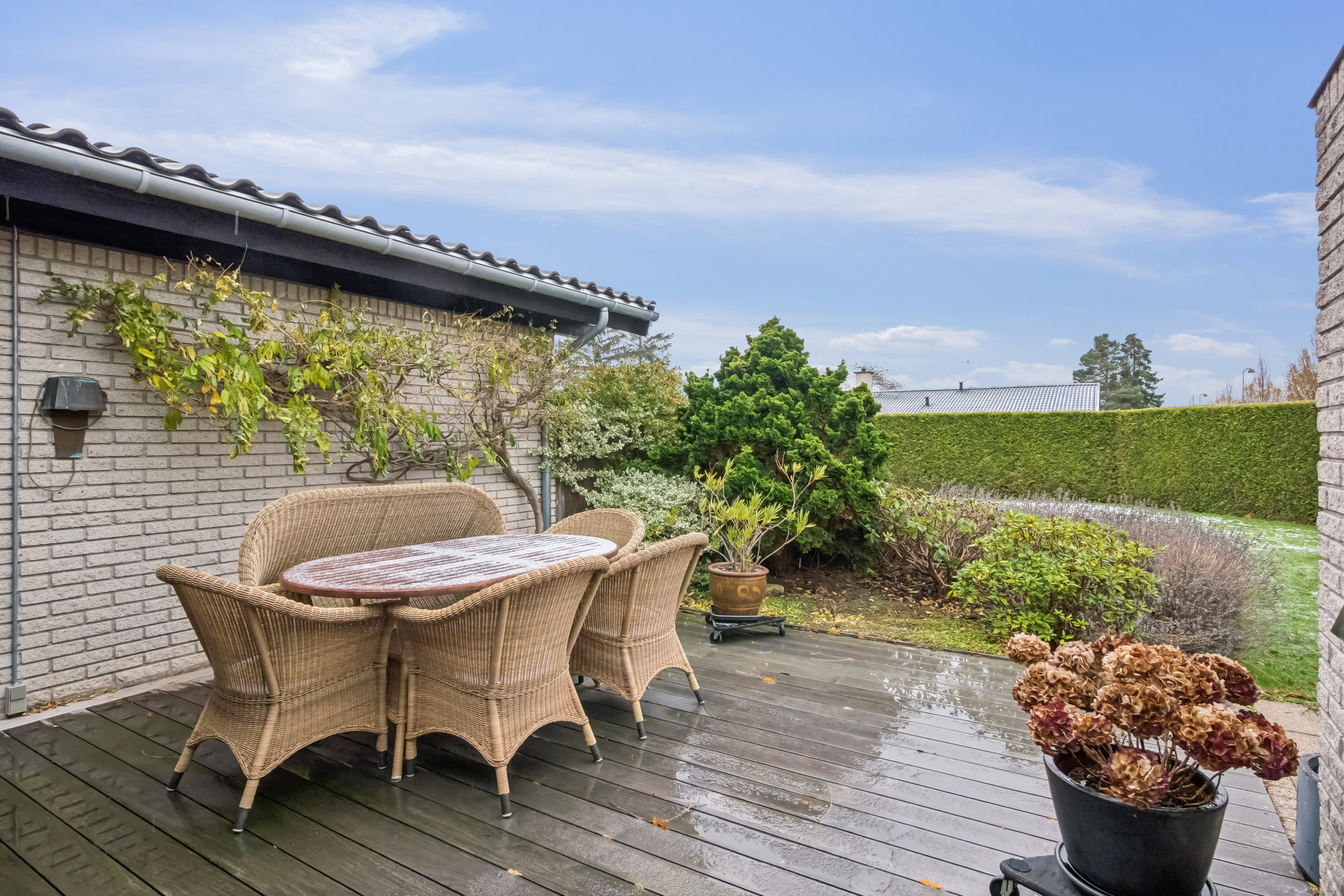 Fremhævet terrasse billede i fuldskærmstilstand. Billede af Nørrebred 148, 2625 Vallensbæk