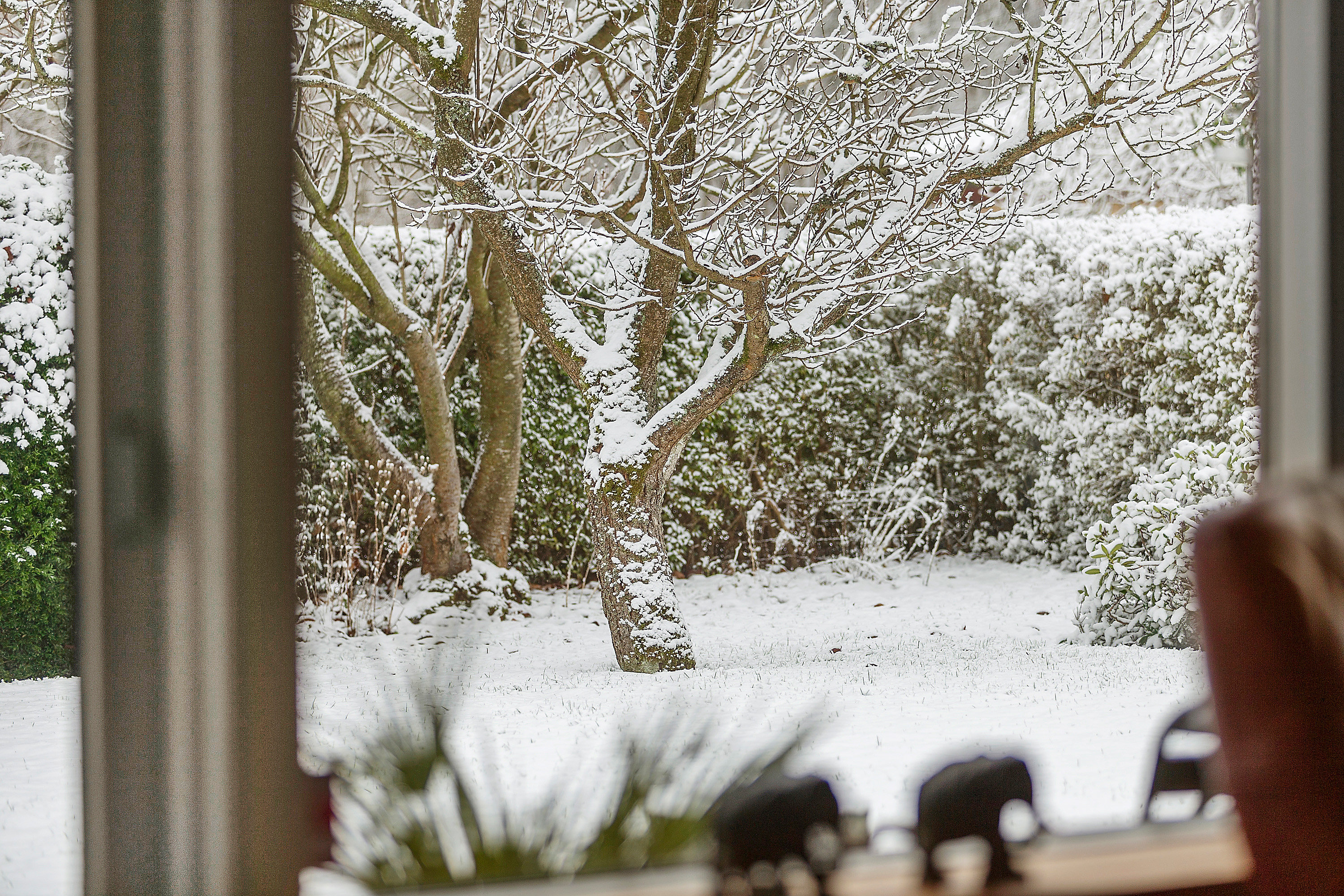 Fremhævet område billede i fuldskærmstilstand. Billede af Havremarken 4, 8362 Hørning