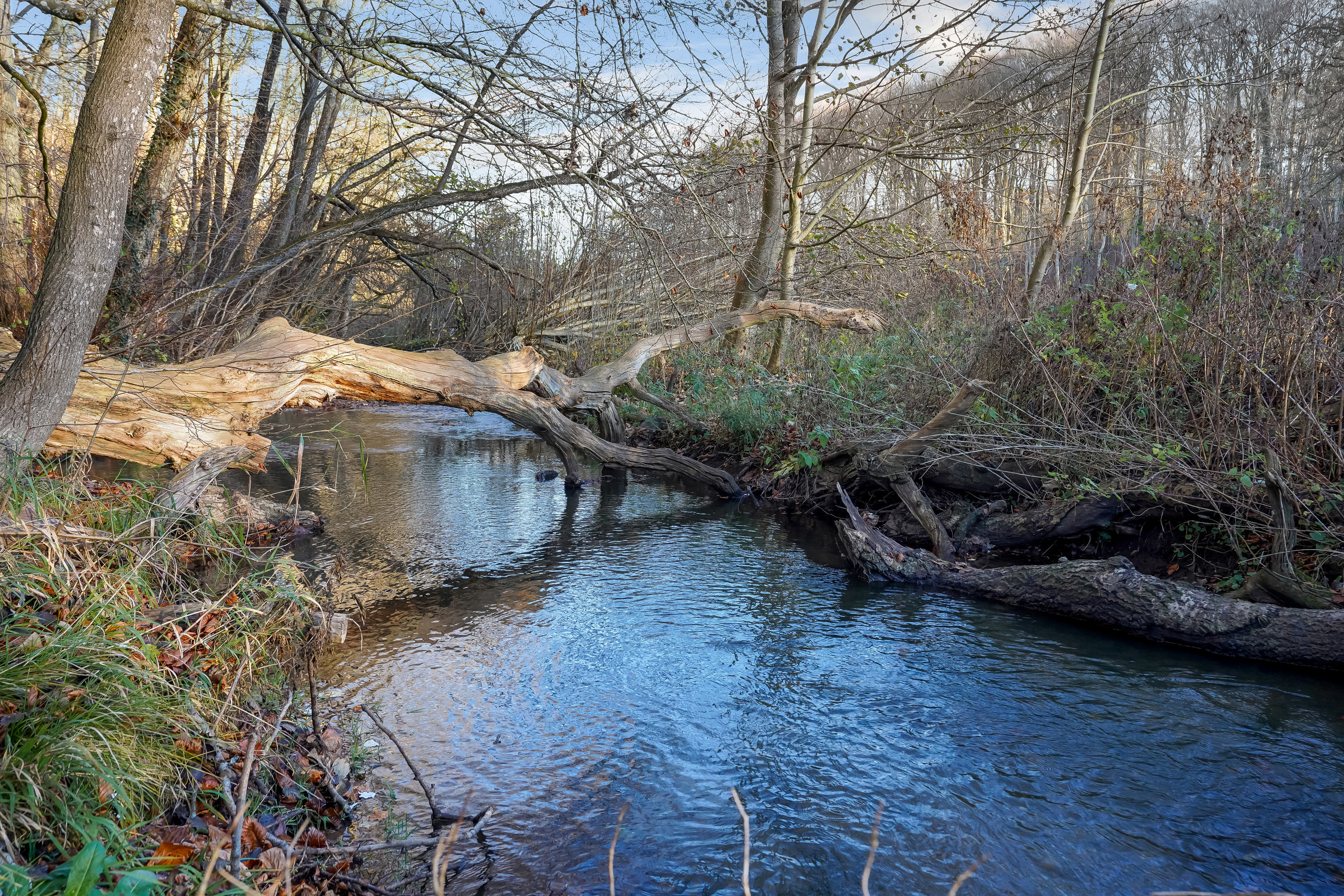 Fremhævet have billede i fuldskærmstilstand. Billede af Hole Skovvej 50, Korup, 5210 Odense NV