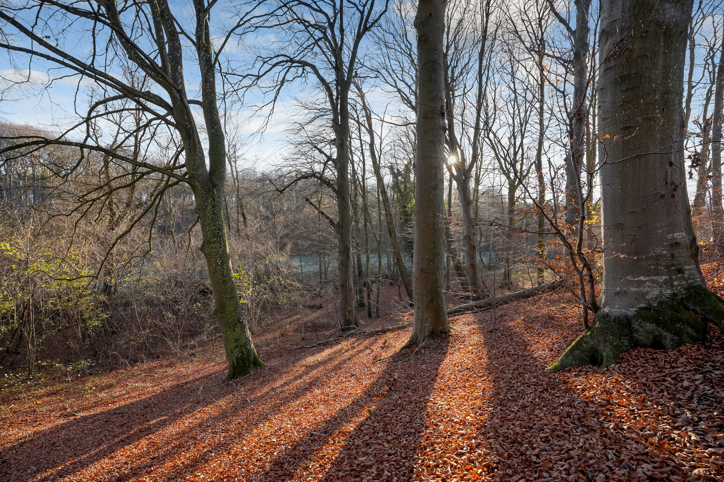 Fremhævet have billede i fuldskærmstilstand. Billede af Hole Skovvej 50, Korup, 5210 Odense NV
