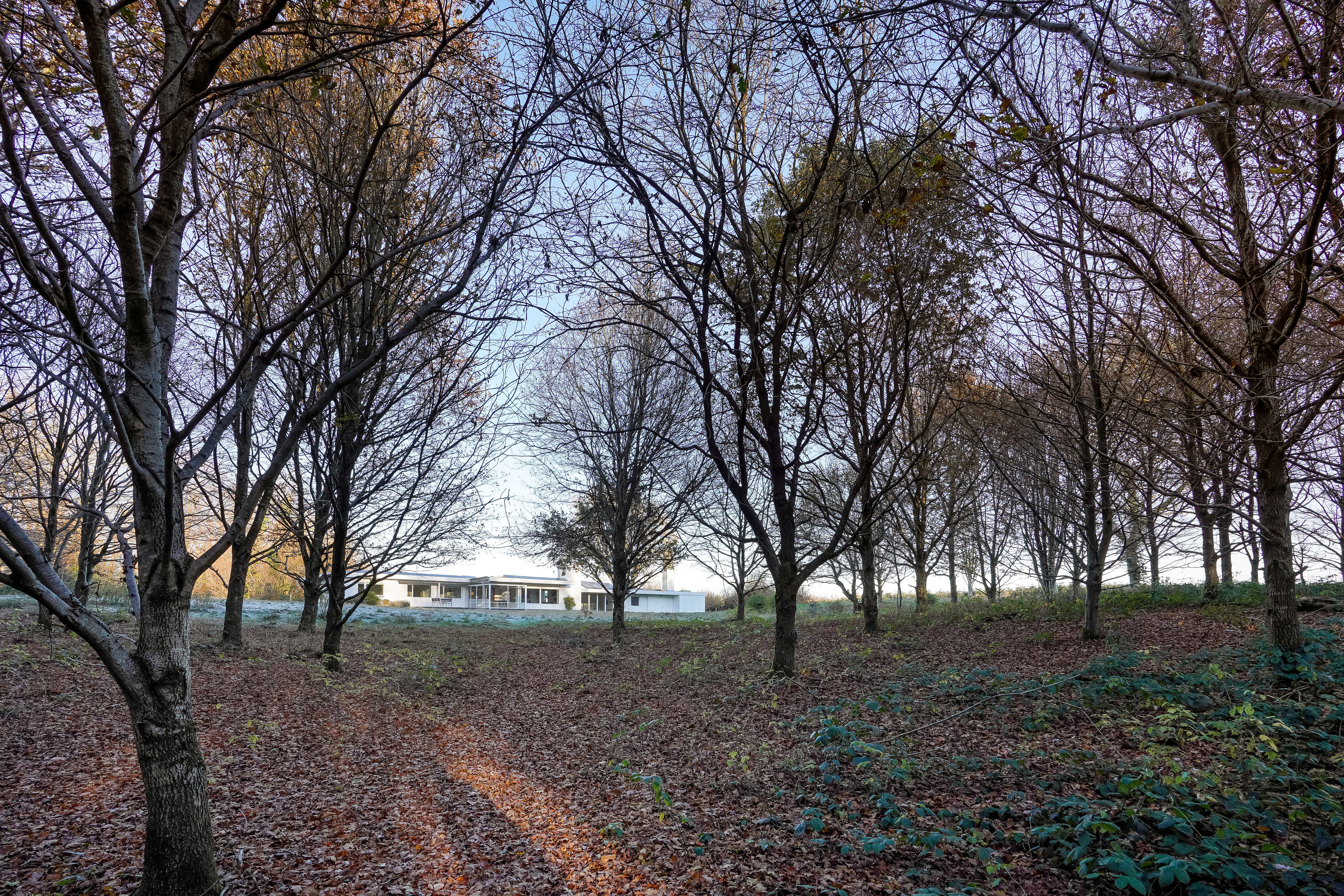 Fremhævet have billede i fuldskærmstilstand. Billede af Hole Skovvej 50, Korup, 5210 Odense NV