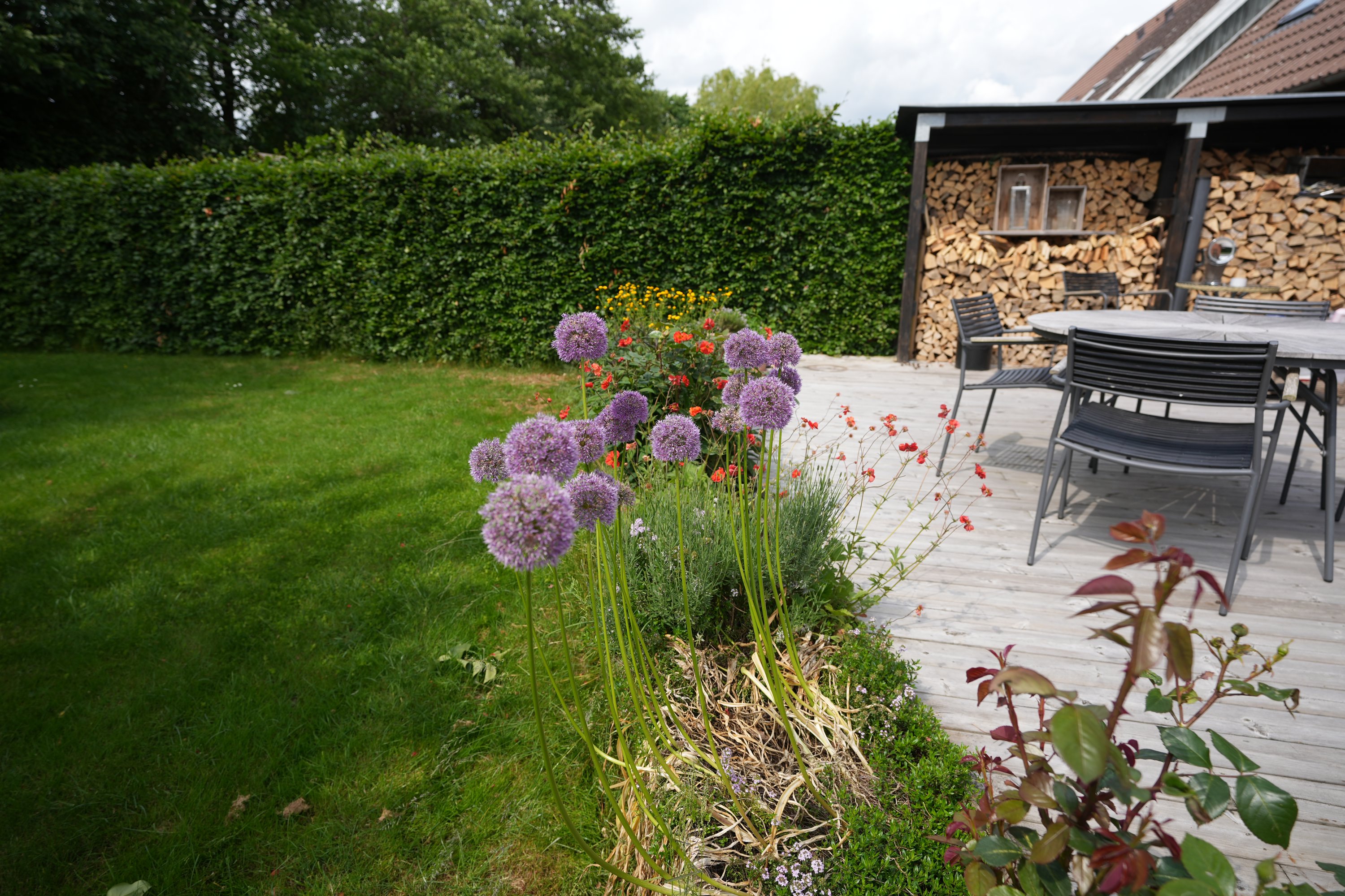 Fremhævet  billede i fuldskærmstilstand. Billede af Børnehave Alle 12, 4622 Havdrup