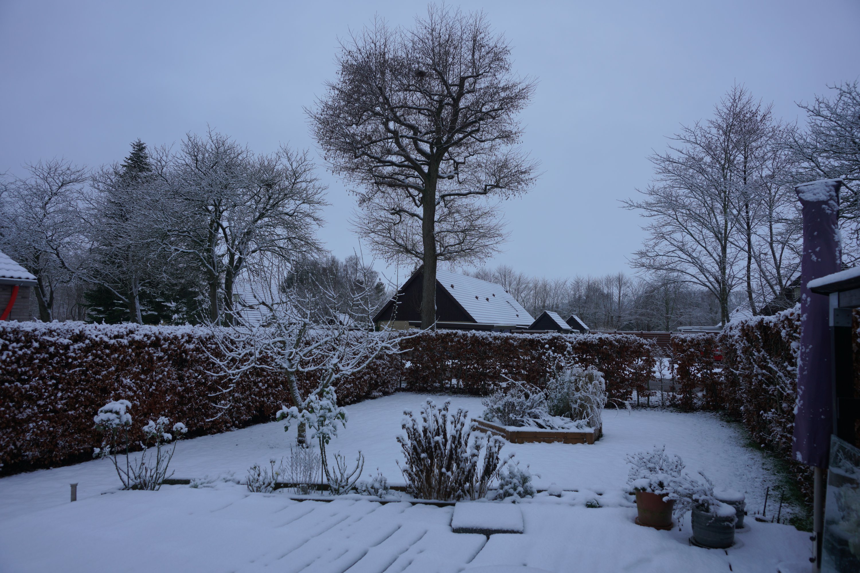 Fremhævet  billede i fuldskærmstilstand. Billede af Børnehave Alle 12, 4622 Havdrup
