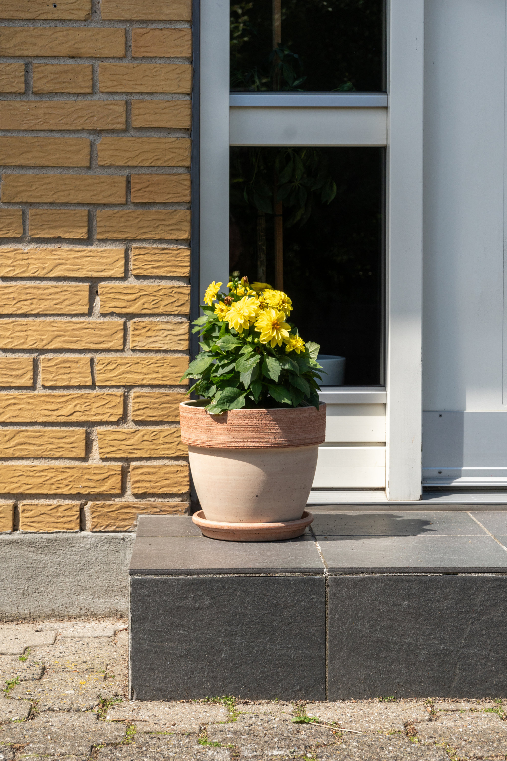 Fremhævet  billede i fuldskærmstilstand. Billede af Gråmejsevej 21, 8800 Viborg