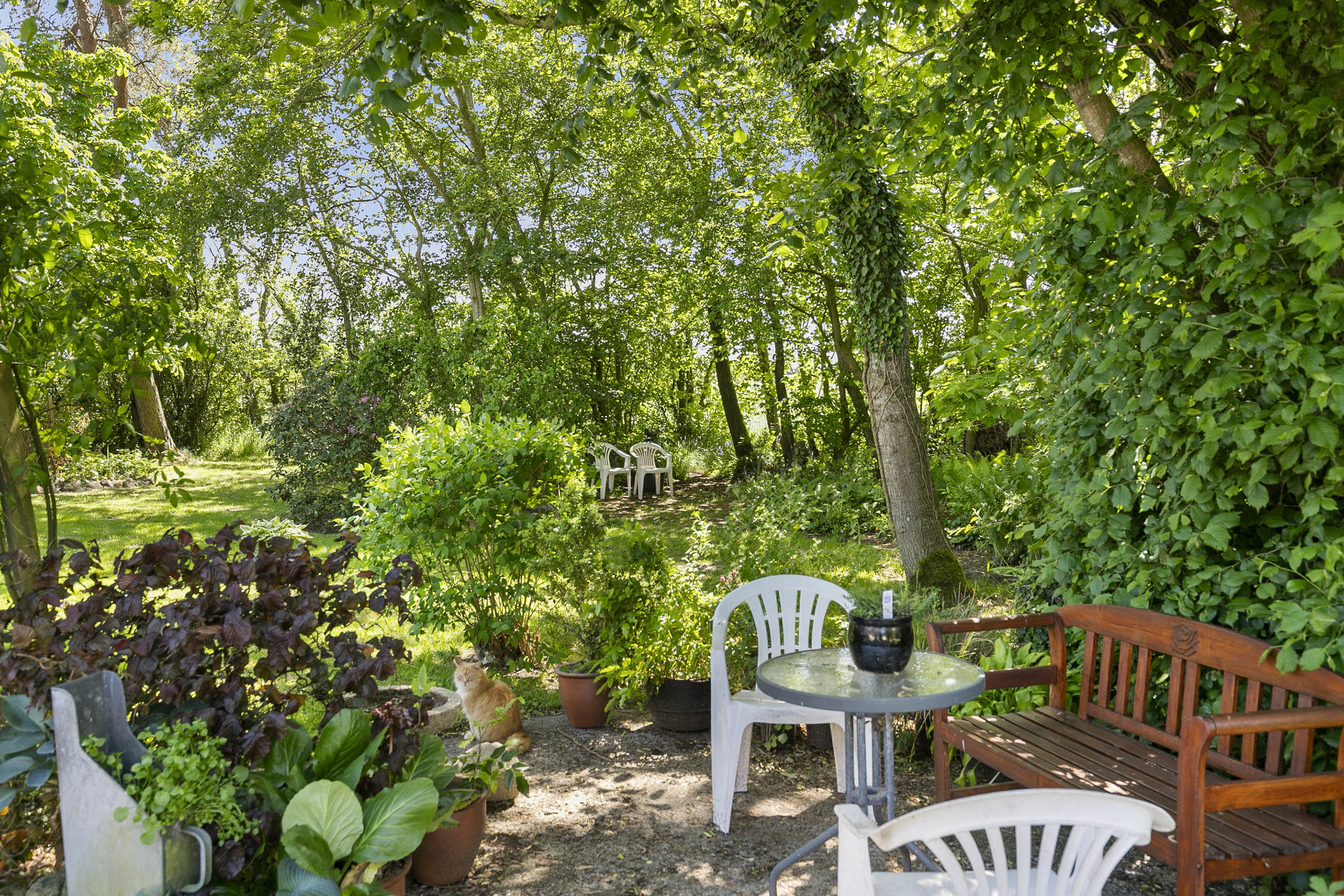 Fremhævet have billede i fuldskærmstilstand. Billede af Tanderupgårdsvej 132, Bejstrup, 9690 Fjerritslev