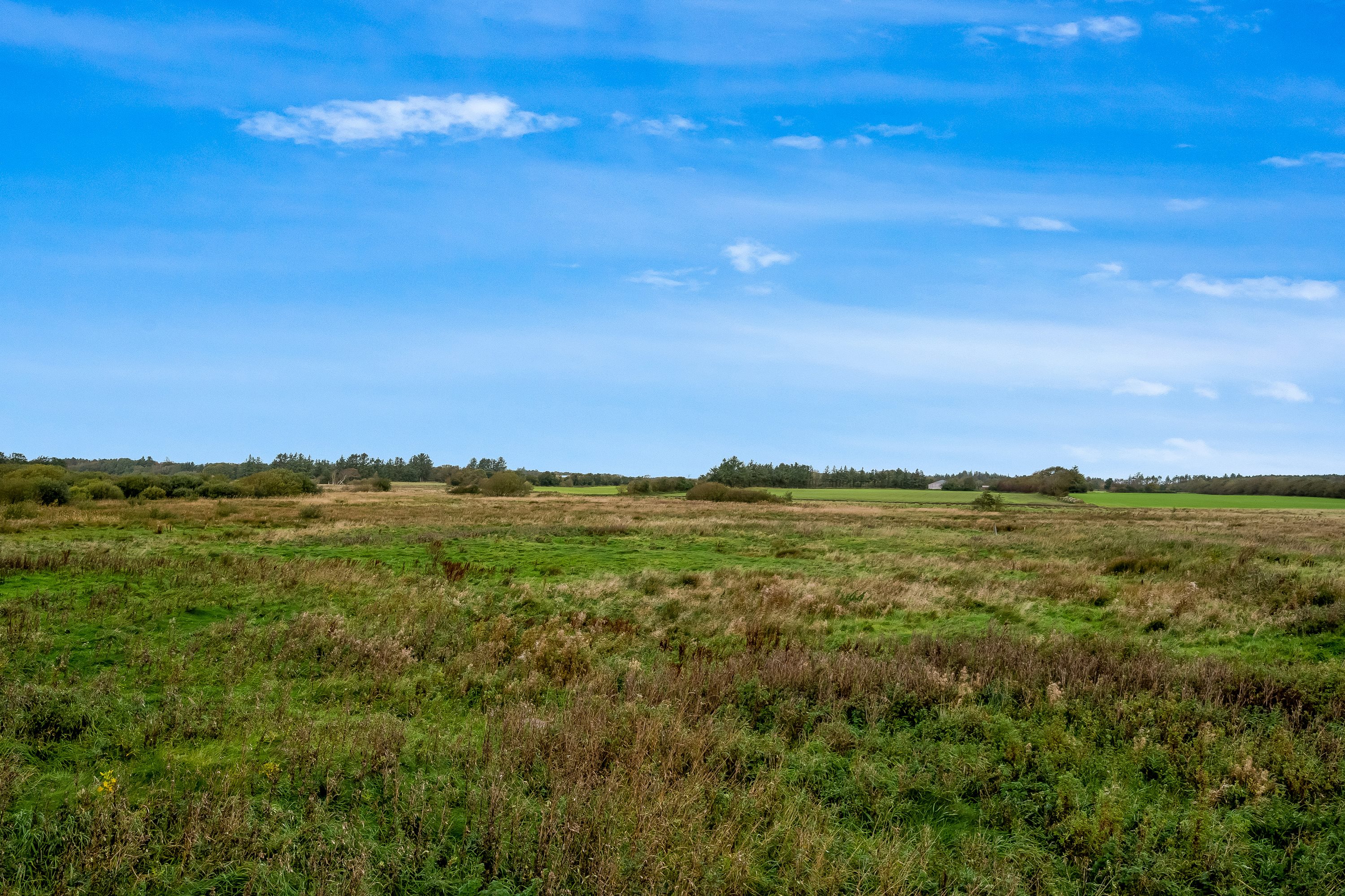 Fremhævet udsigt billede i fuldskærmstilstand. Billede af Torstedvej 96, 6980 Tim