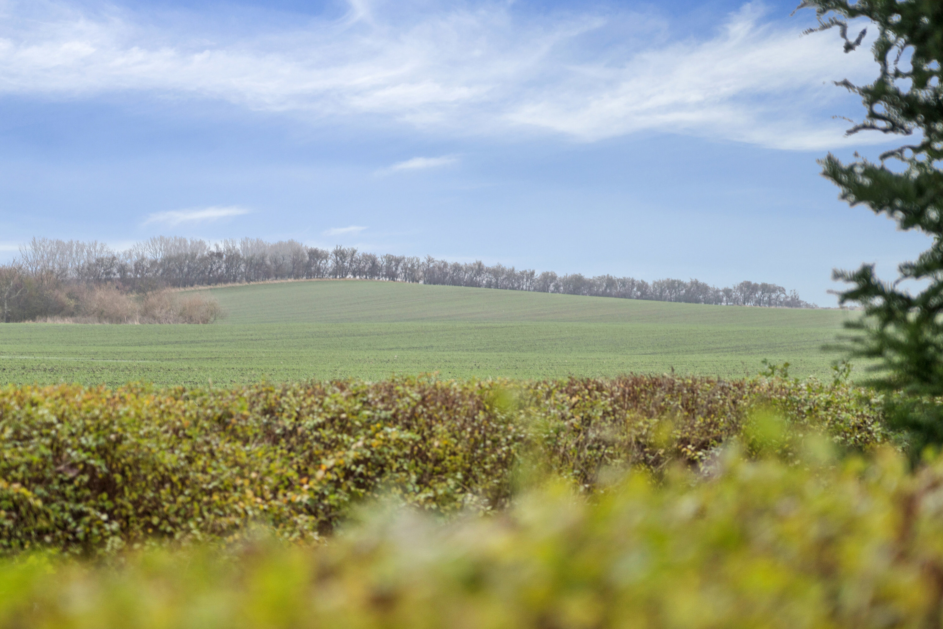 Fremhævet omgivelser billede i fuldskærmstilstand. Billede af Helenevej 18, Drøsselbjerg, 4200 Slagelse