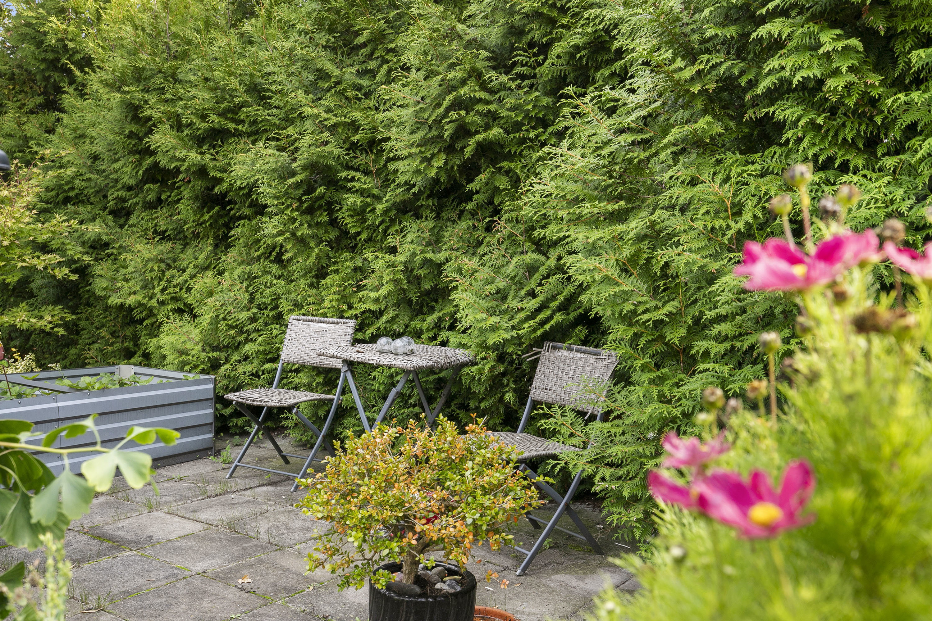 Fremhævet terrasse billede i fuldskærmstilstand. Billede af Oddevej 53, Klim, 9690 Fjerritslev