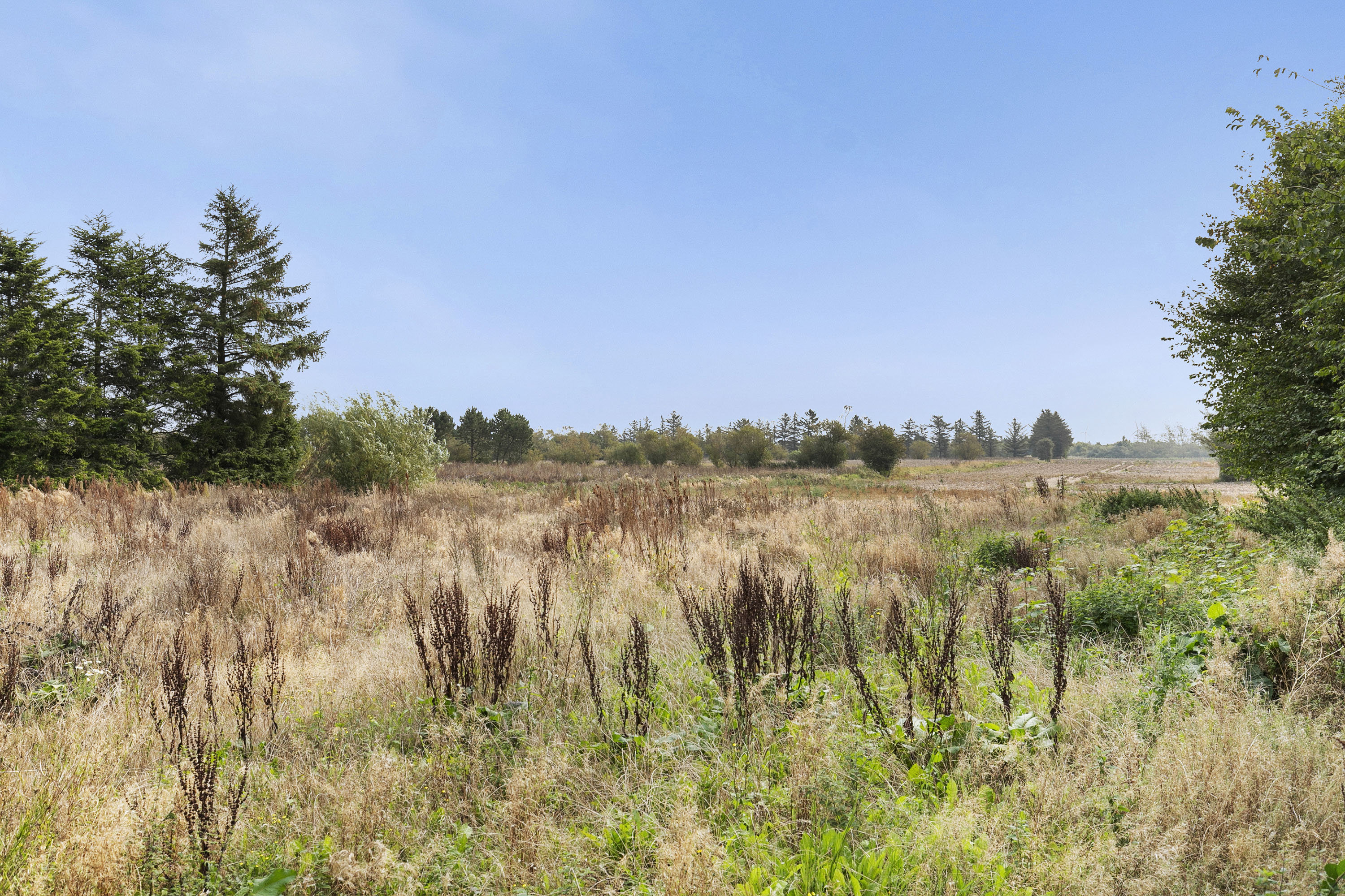 Fremhævet udsigt billede i fuldskærmstilstand. Billede af Oddevej 53, Klim, 9690 Fjerritslev