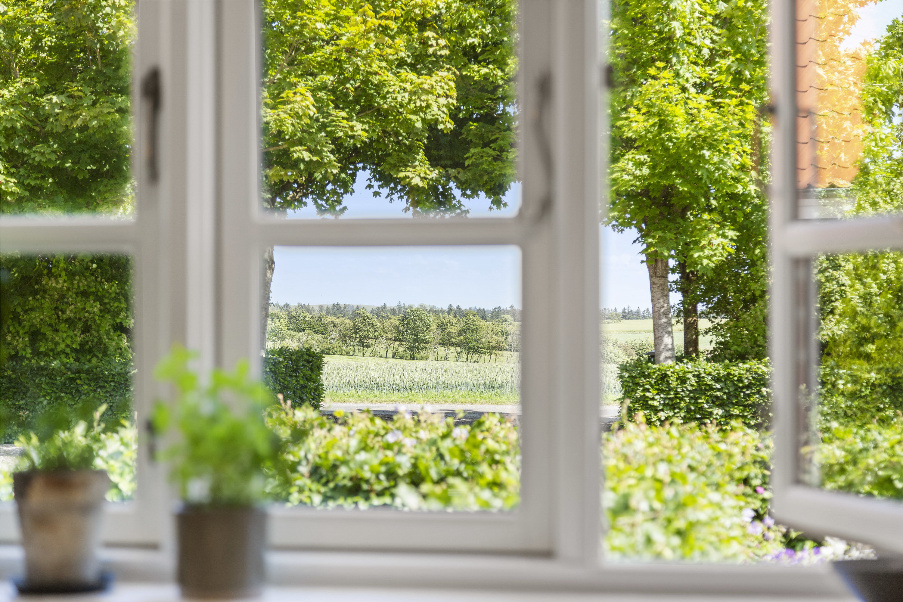 Fremhævet havekig  billede i fuldskærmstilstand. Billede af Vangvejen 8, Trekroner, 9690 Fjerritslev