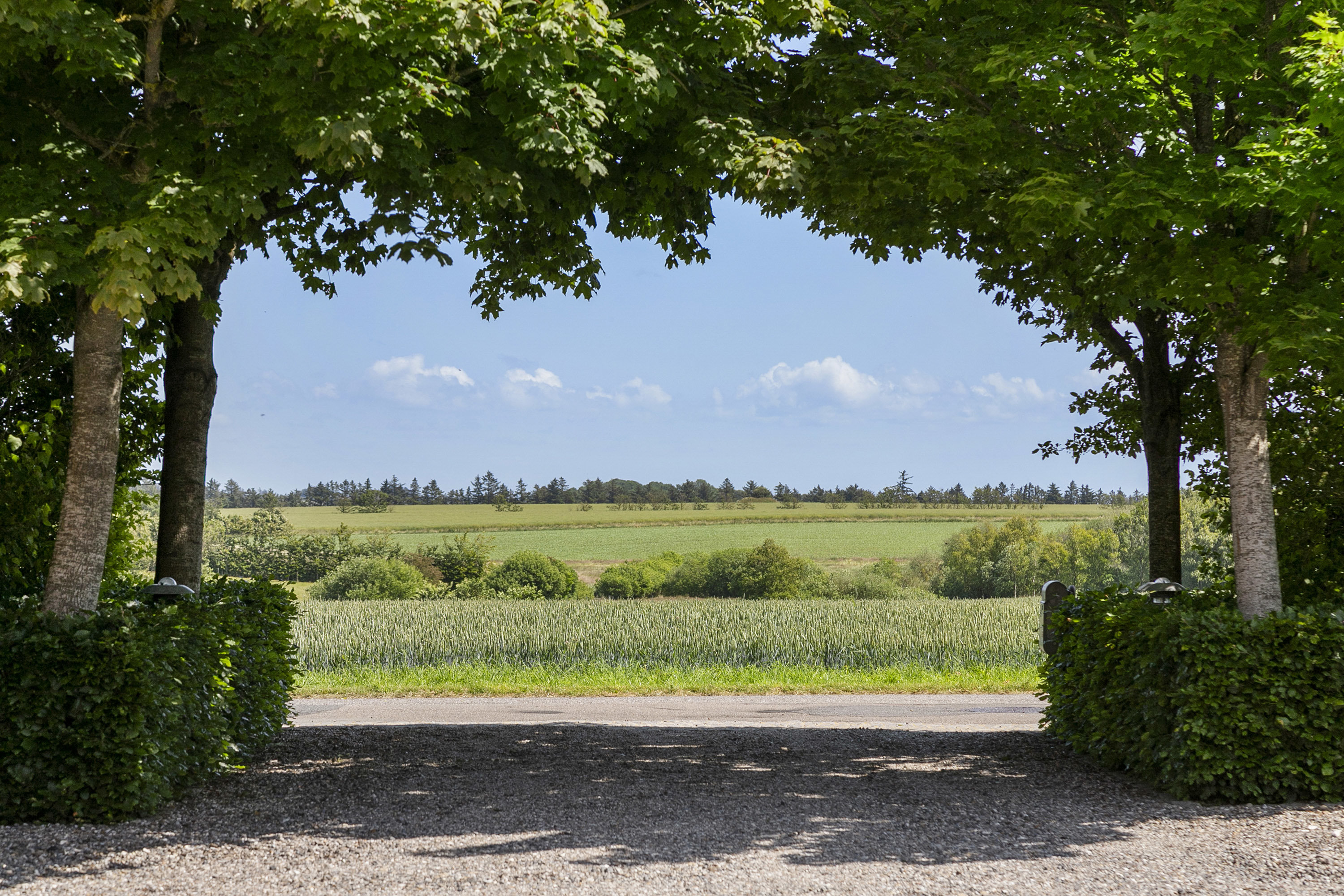 Fremhævet udsigt  billede i fuldskærmstilstand. Billede af Vangvejen 8, Trekroner, 9690 Fjerritslev