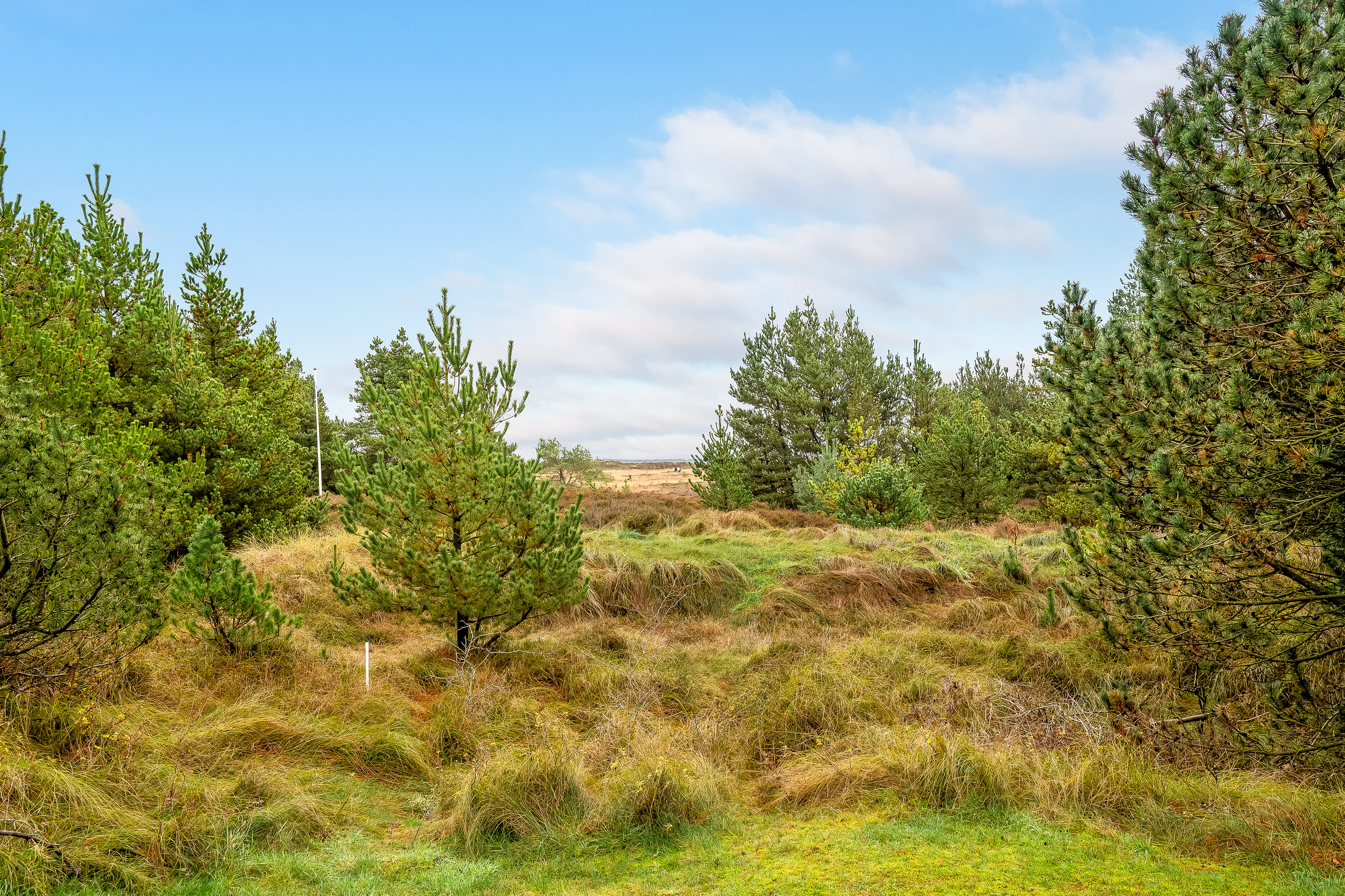 Miniaturebillede 1: udsigt. Billede af Ringvejen 77, Bolilmark, 6792 Rømø