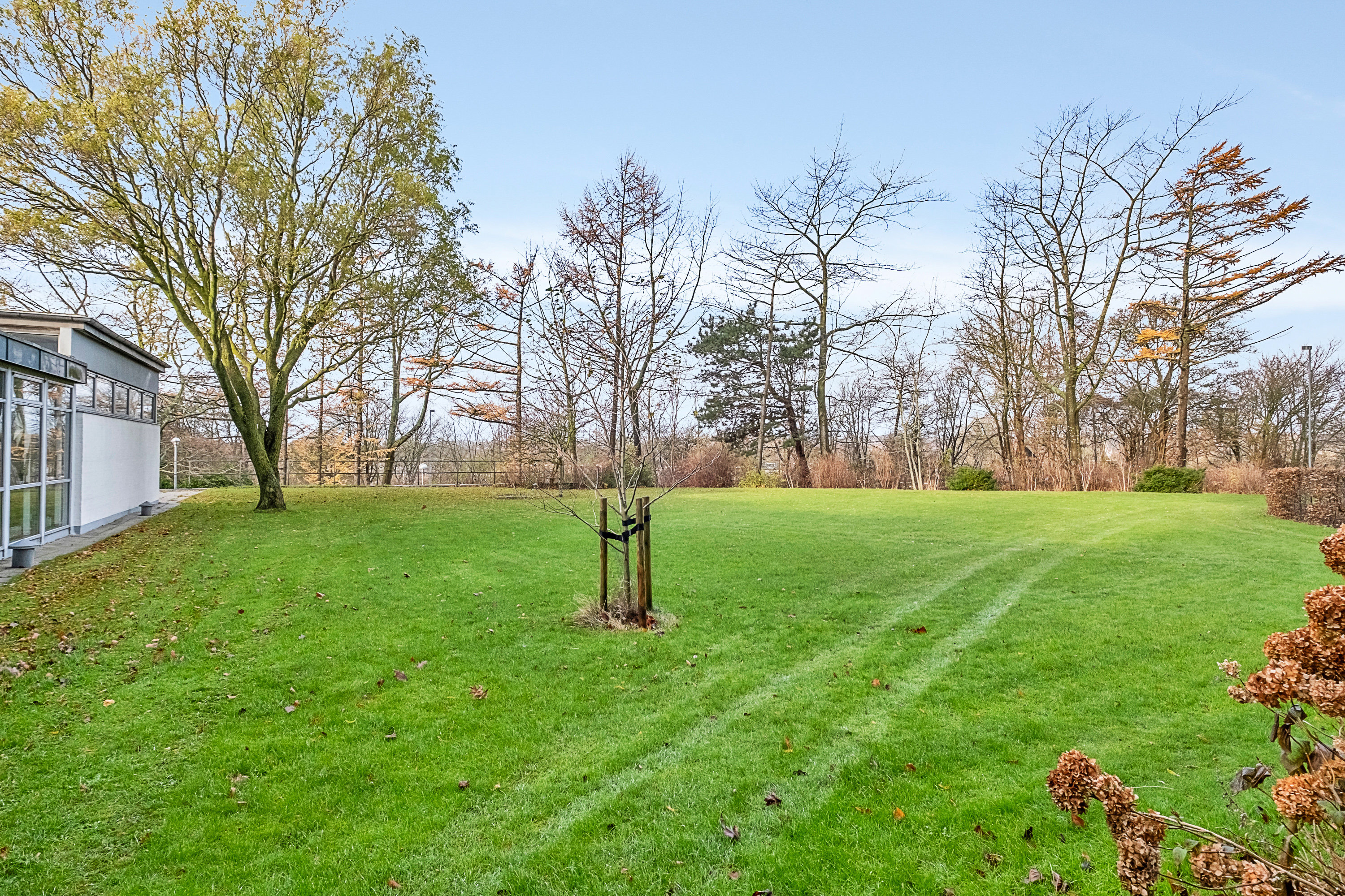 Fremhævet have billede i fuldskærmstilstand. Billede af Augustenborggade 21A, 6. mf., 8000 Aarhus C