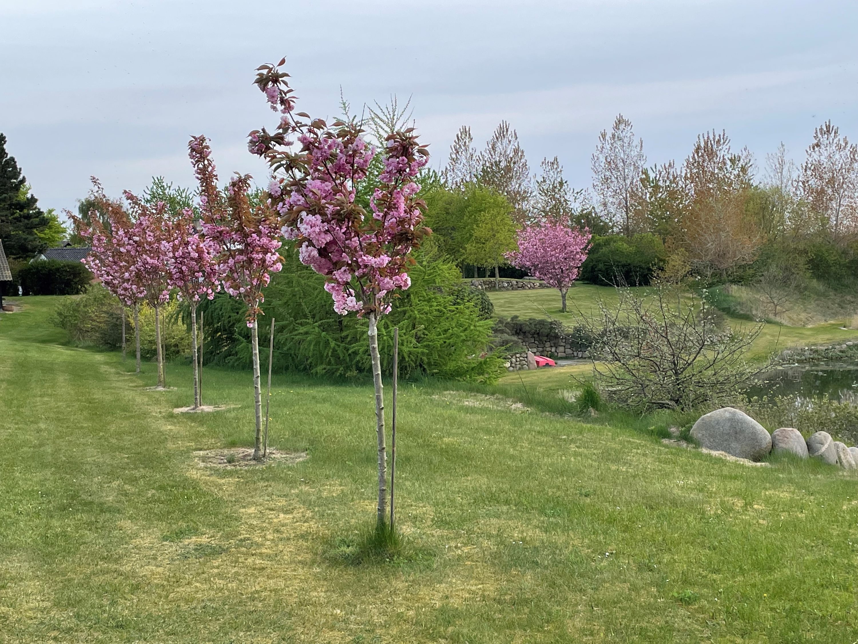 Fremhævet område billede i fuldskærmstilstand. Billede af Gøttrupvej 349, Gøttrup, 9690 Fjerritslev