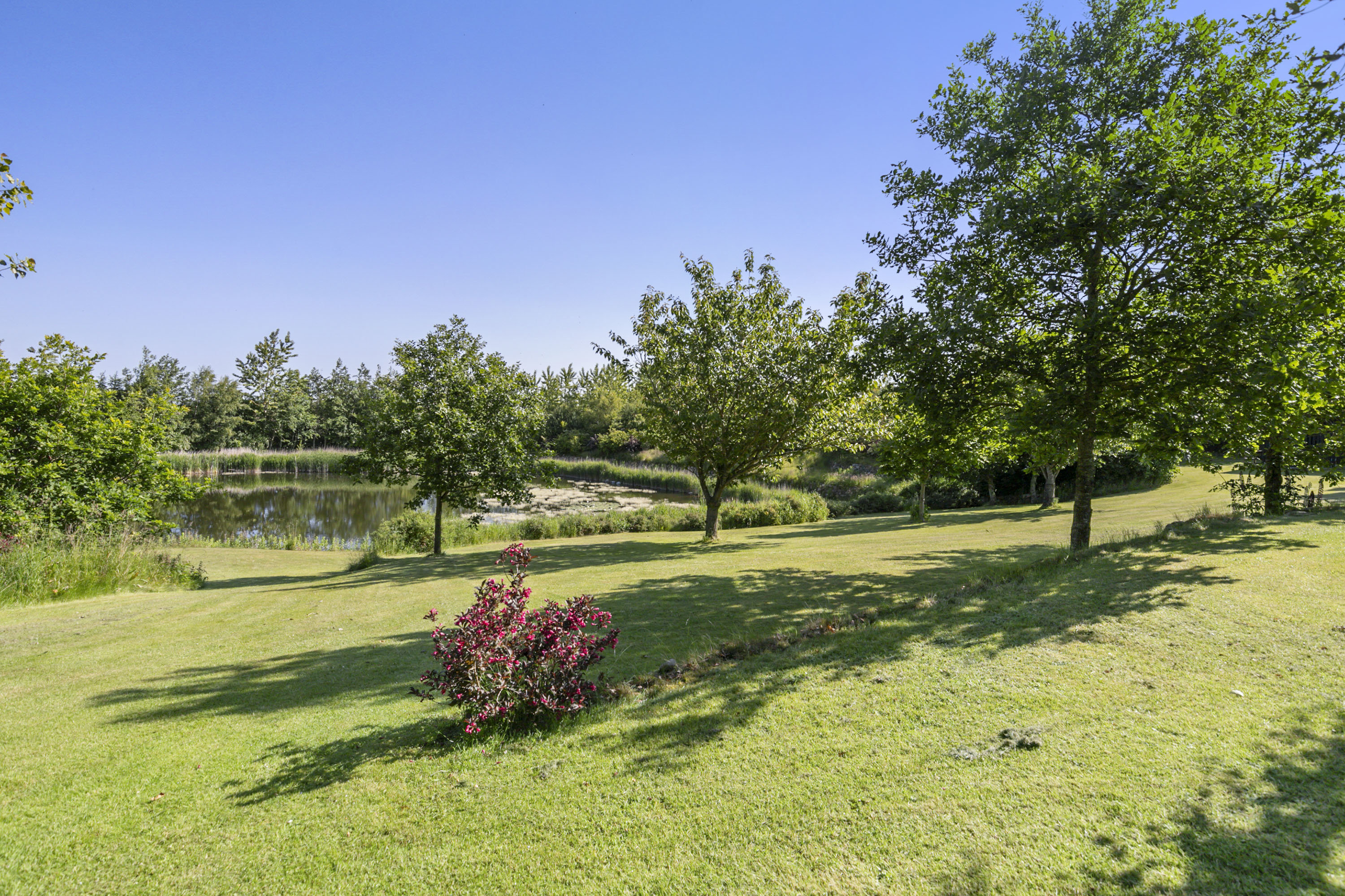 Fremhævet have billede i fuldskærmstilstand. Billede af Gøttrupvej 349, Gøttrup, 9690 Fjerritslev