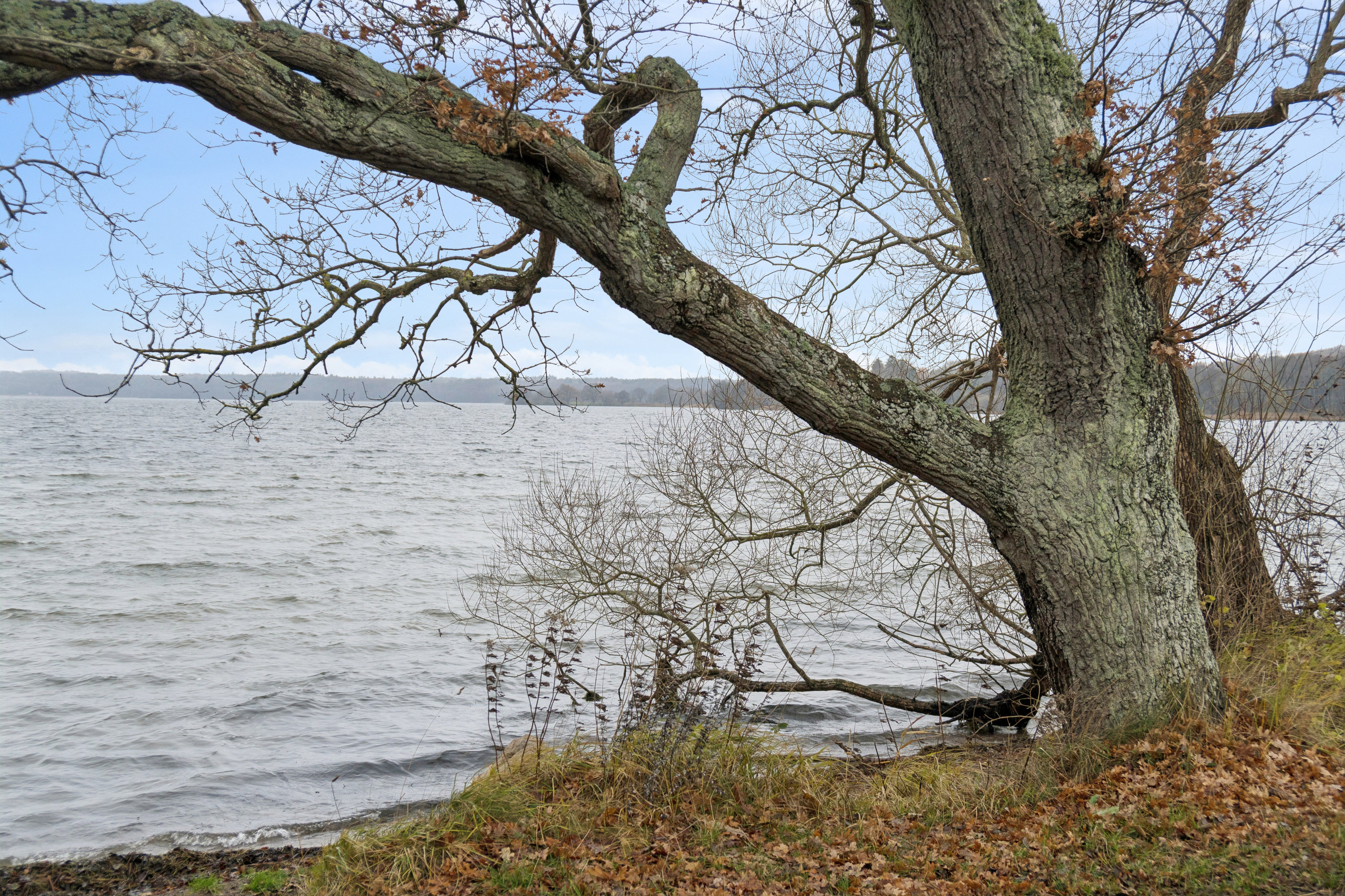 Fremhævet  billede i fuldskærmstilstand. Billede af Esrumvej 436B, Plejelt, 3080 Tikøb