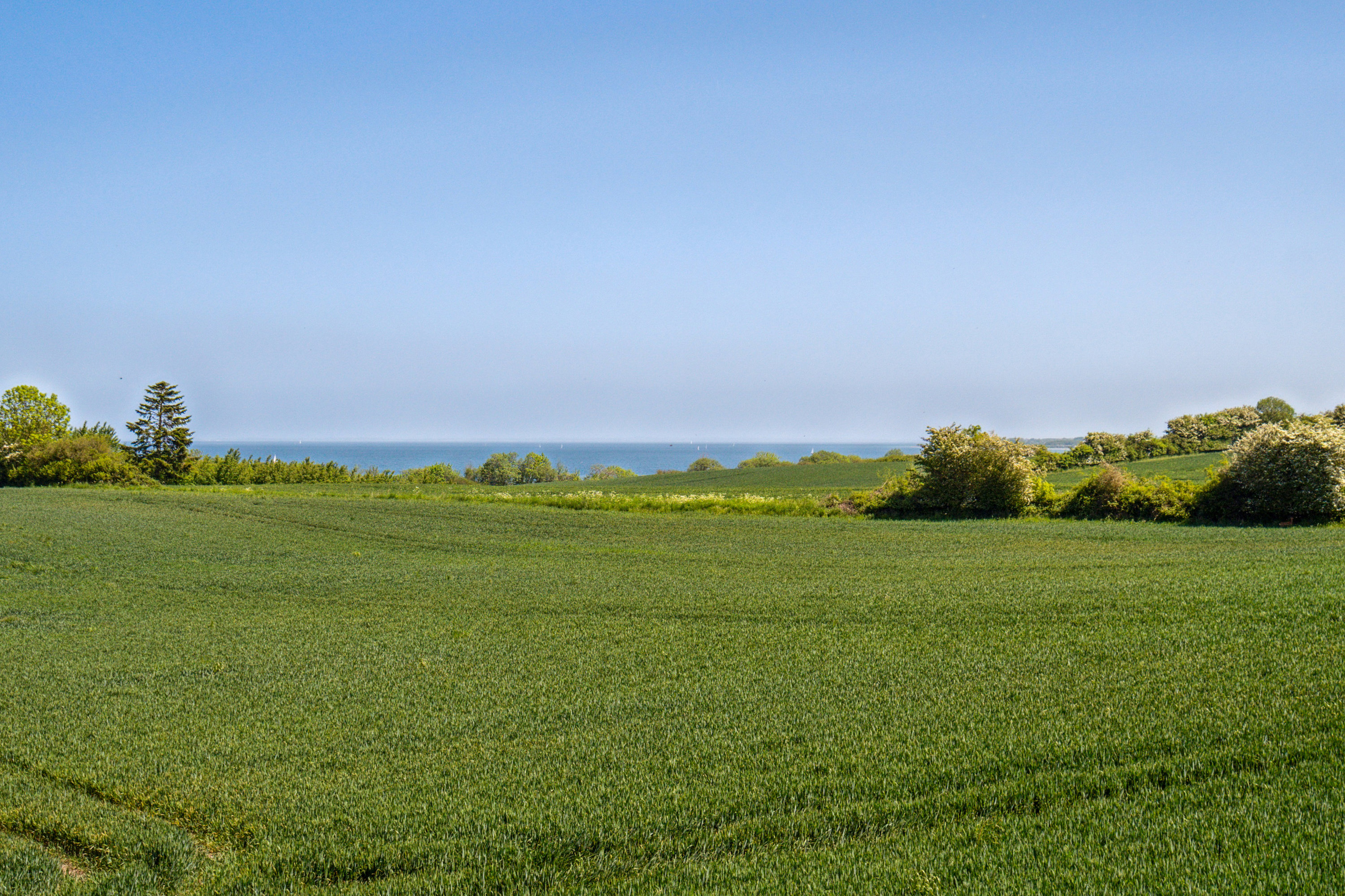 Miniaturebillede 2: . Billede af Nørskov 21, Varnæs, 6200 Aabenraa