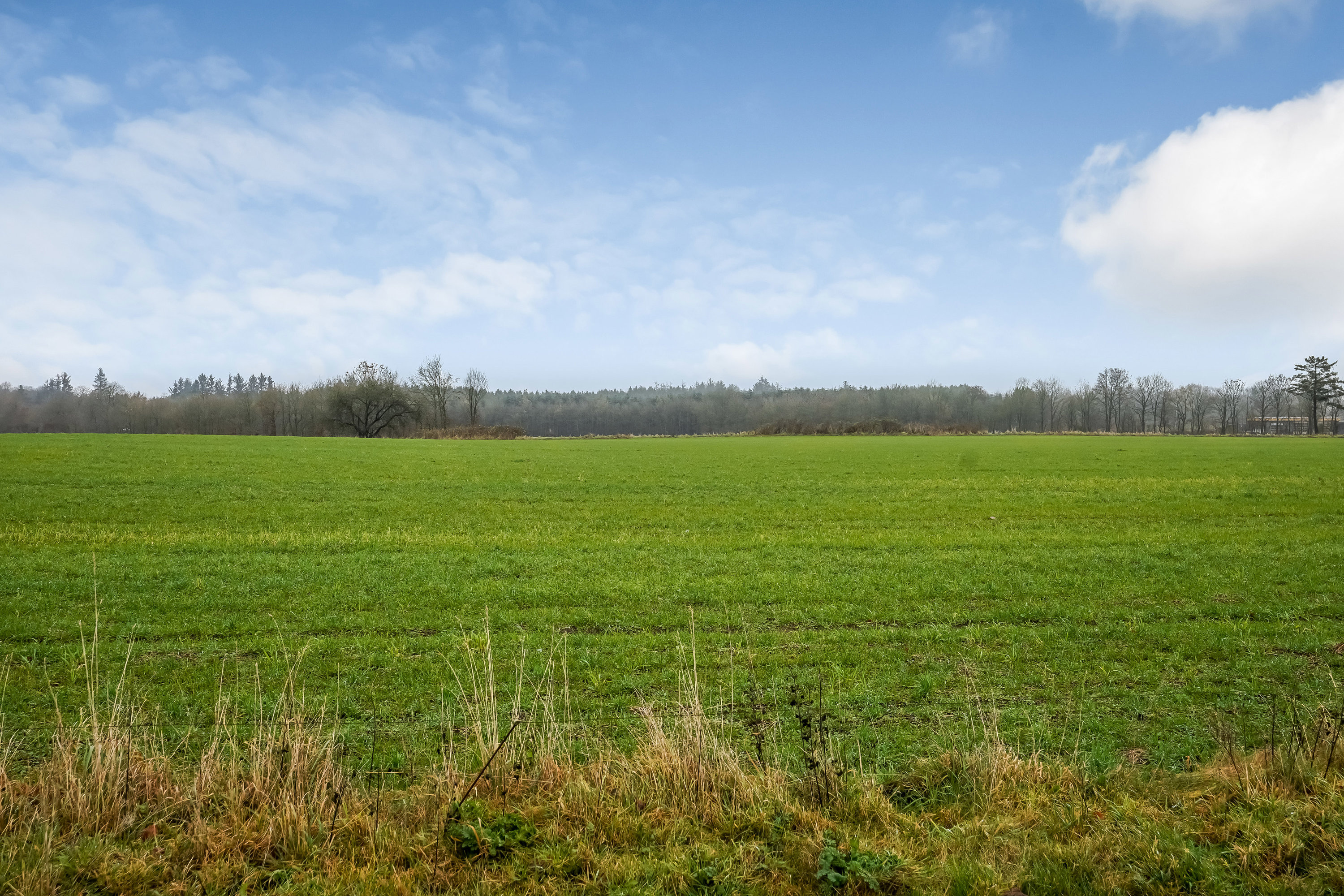 Fremhævet område billede i fuldskærmstilstand. Billede af Tribinivej 17, 6623 Vorbasse