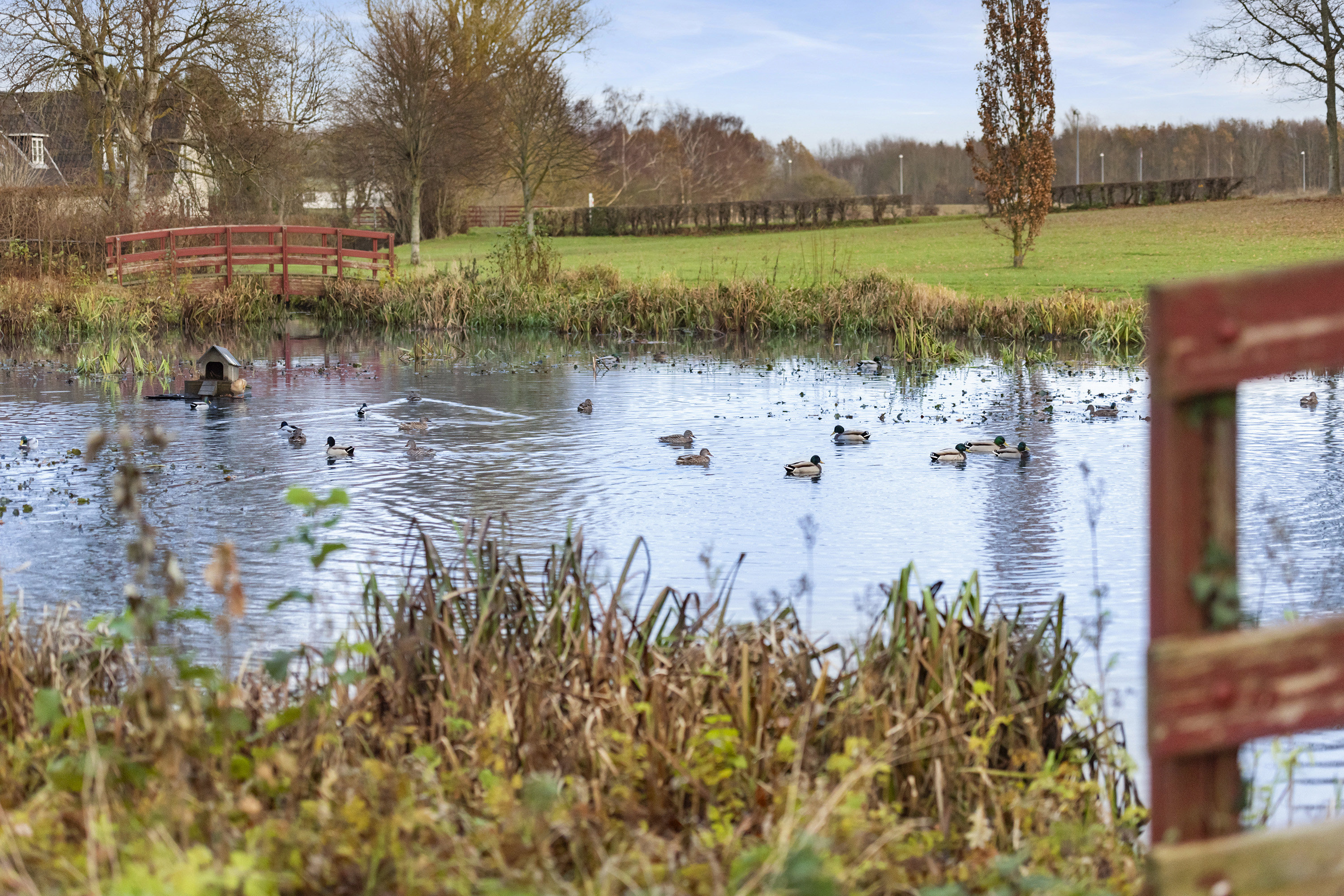 Fremhævet område billede i fuldskærmstilstand. Billede af Engvej 9D, 2625 Vallensbæk