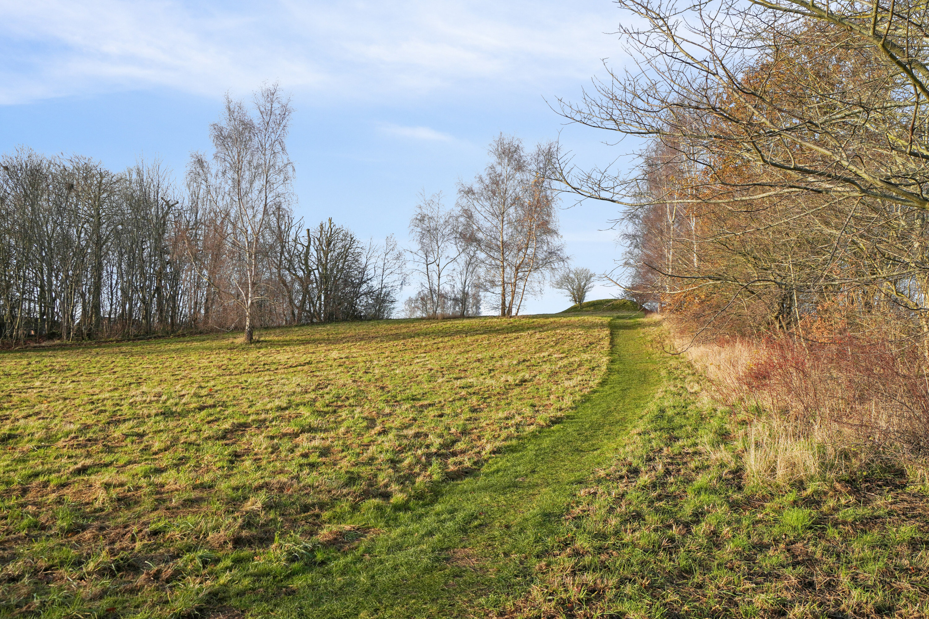 Fremhævet omgivelser billede i fuldskærmstilstand. Billede af Hyllingeparken 61, 4070 Kirke Hyllinge