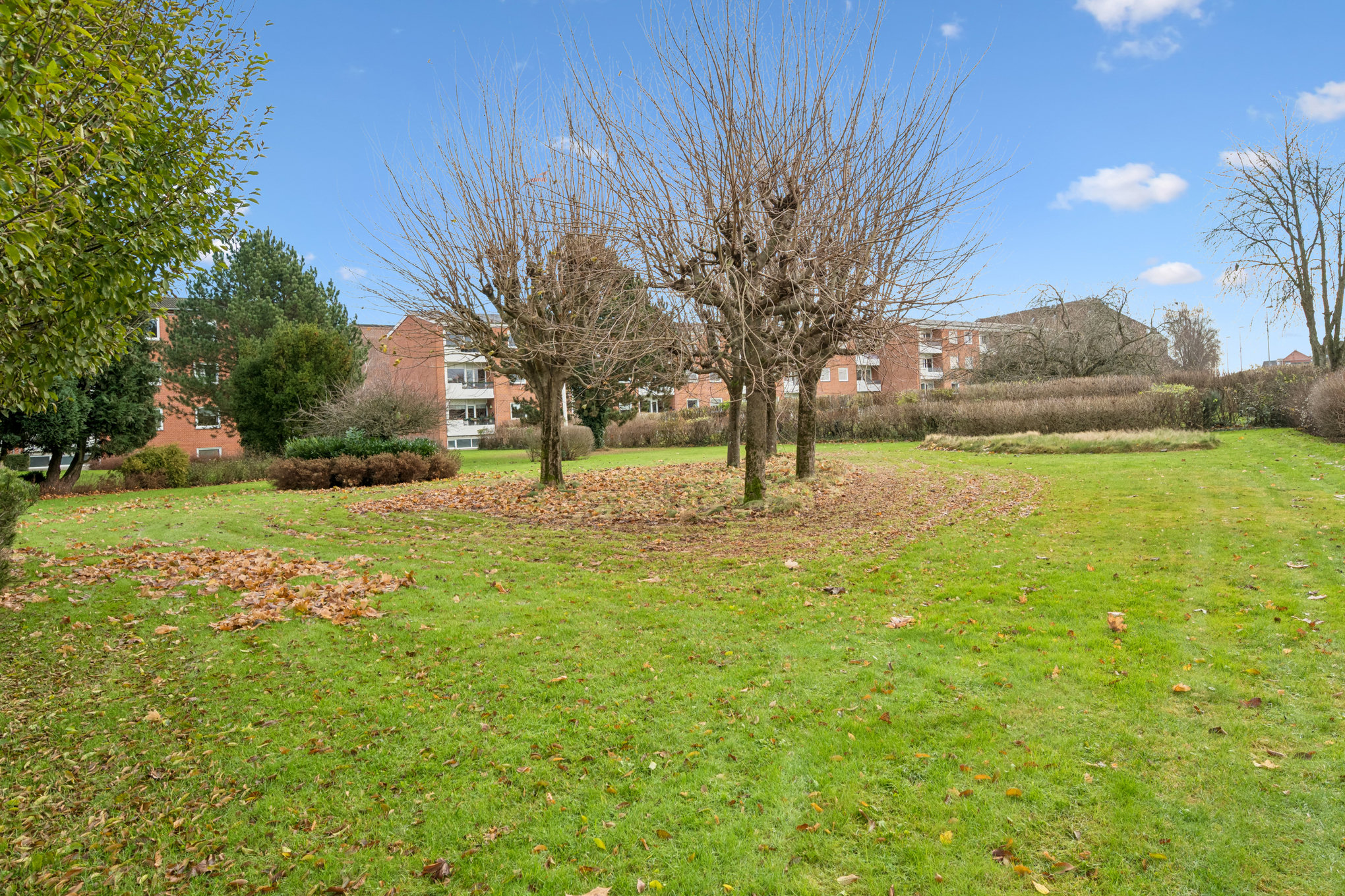 Fremhævet have billede i fuldskærmstilstand. Billede af Hobrovej 120, 1. th., 8920 Randers NV