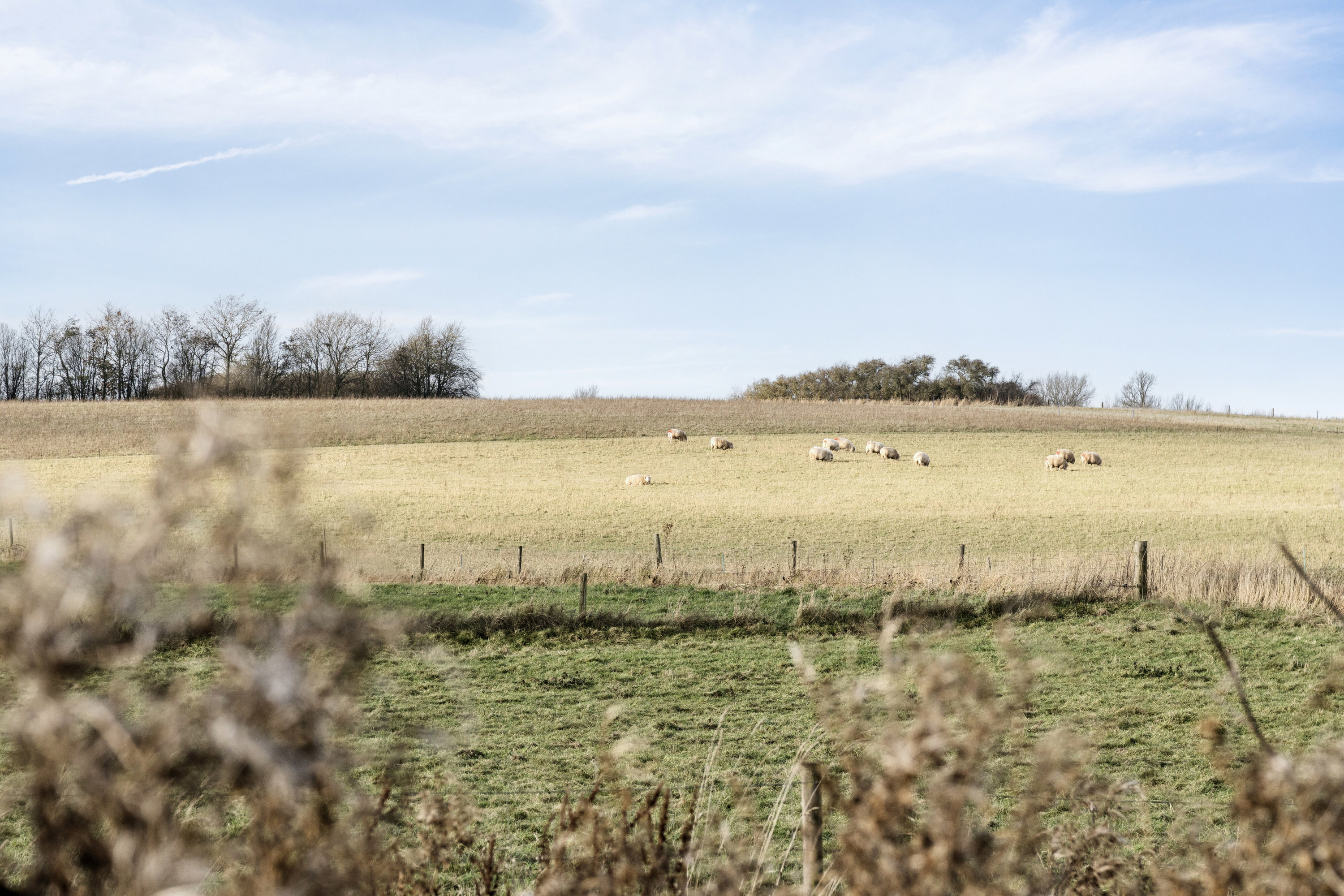 Fremhævet udendørs billede i fuldskærmstilstand. Billede af Sdr Jernløsevej 19, Sdr. Jernløse, 4420 Regstrup