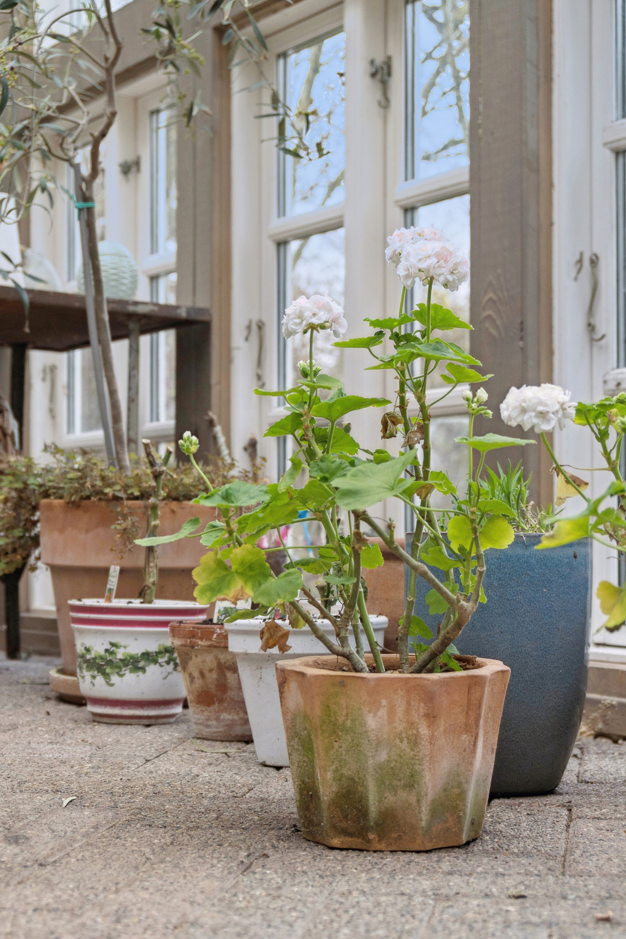 Fremhævet udendørs billede i fuldskærmstilstand. Billede af Brendgårdvej 5, Ydby, 7760 Hurup Thy