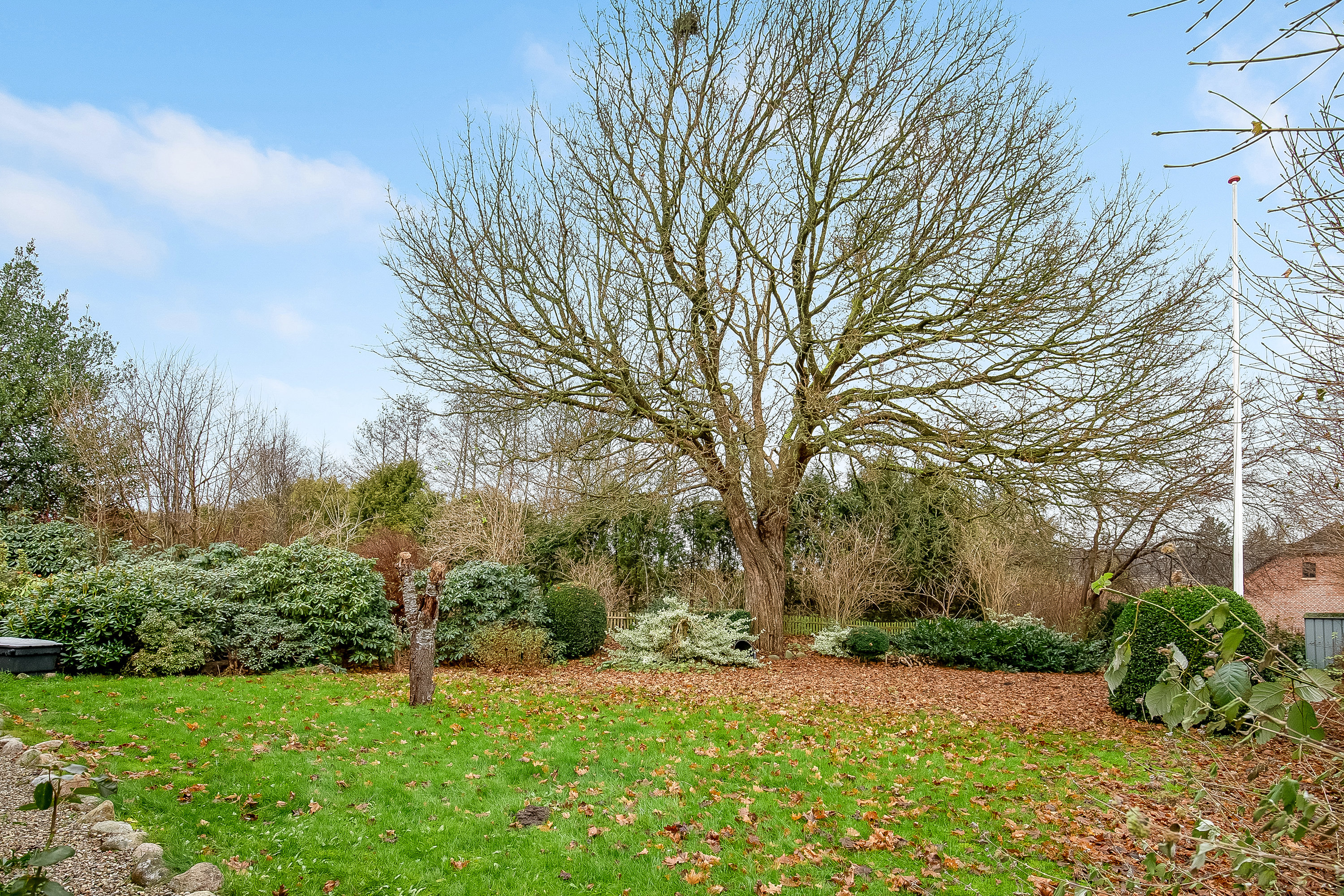 Fremhævet have billede i fuldskærmstilstand. Billede af Nedervej 17, Ejstrup, 6000 Kolding