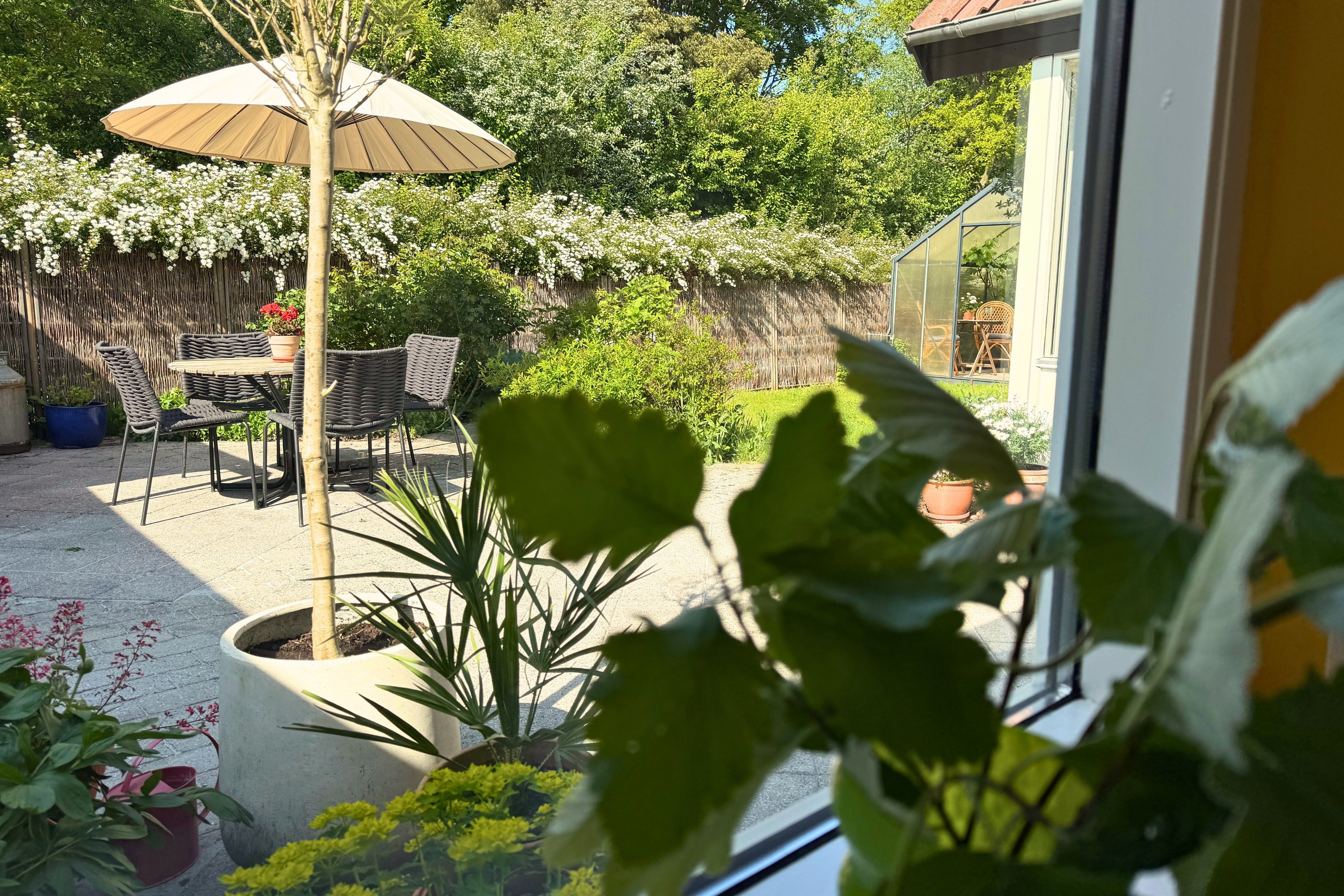 Fremhævet  billede i fuldskærmstilstand. Billede af Ugletoften 315, Højby, 5260 Odense S