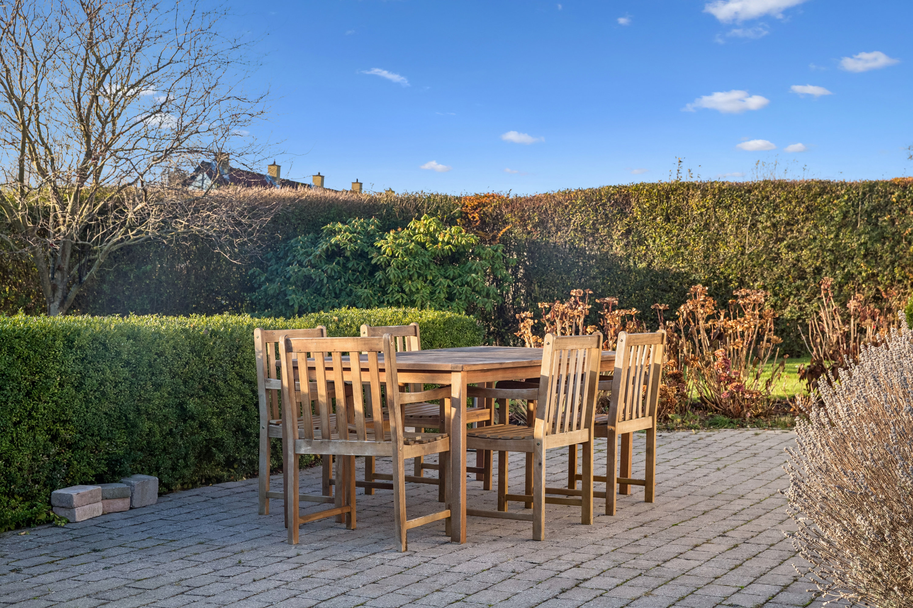 Miniaturebillede 2: have. Billede af Alexander Foss Vej 2, Boderne, 3140 Ålsgårde